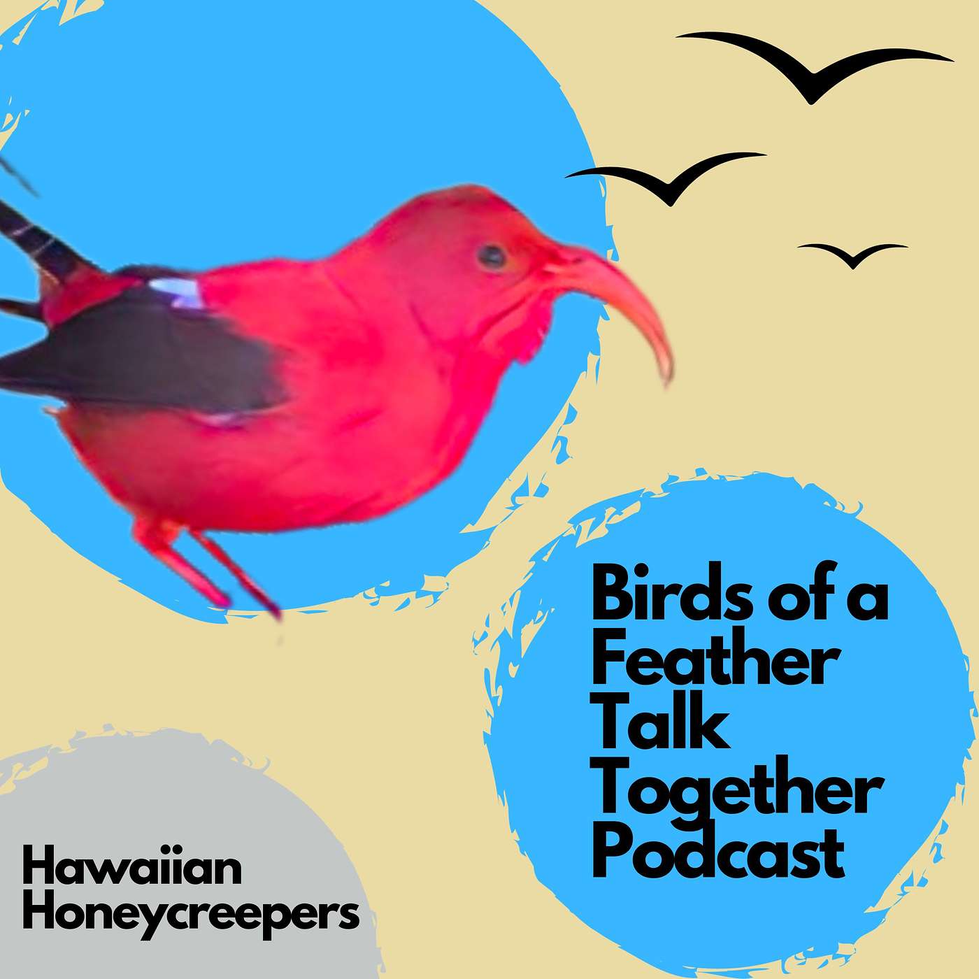 Birds of a Feather Talk Together