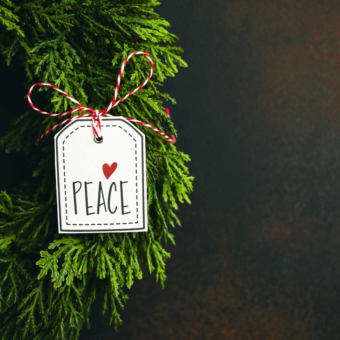 How to Receive Jesus' Gift of Peace this Holiday Season