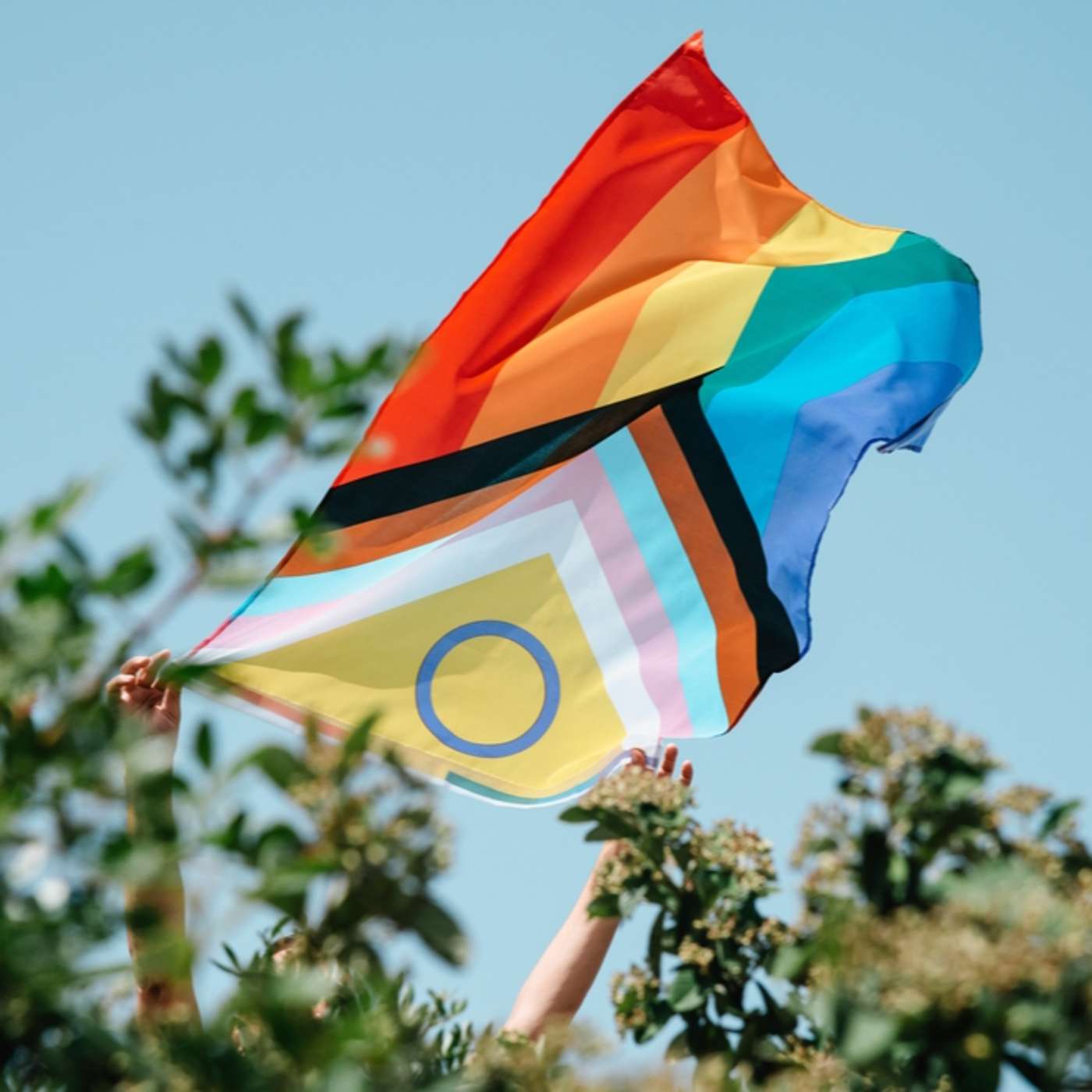 פרק 3: קארל מ. באר והתאמה מגדרית