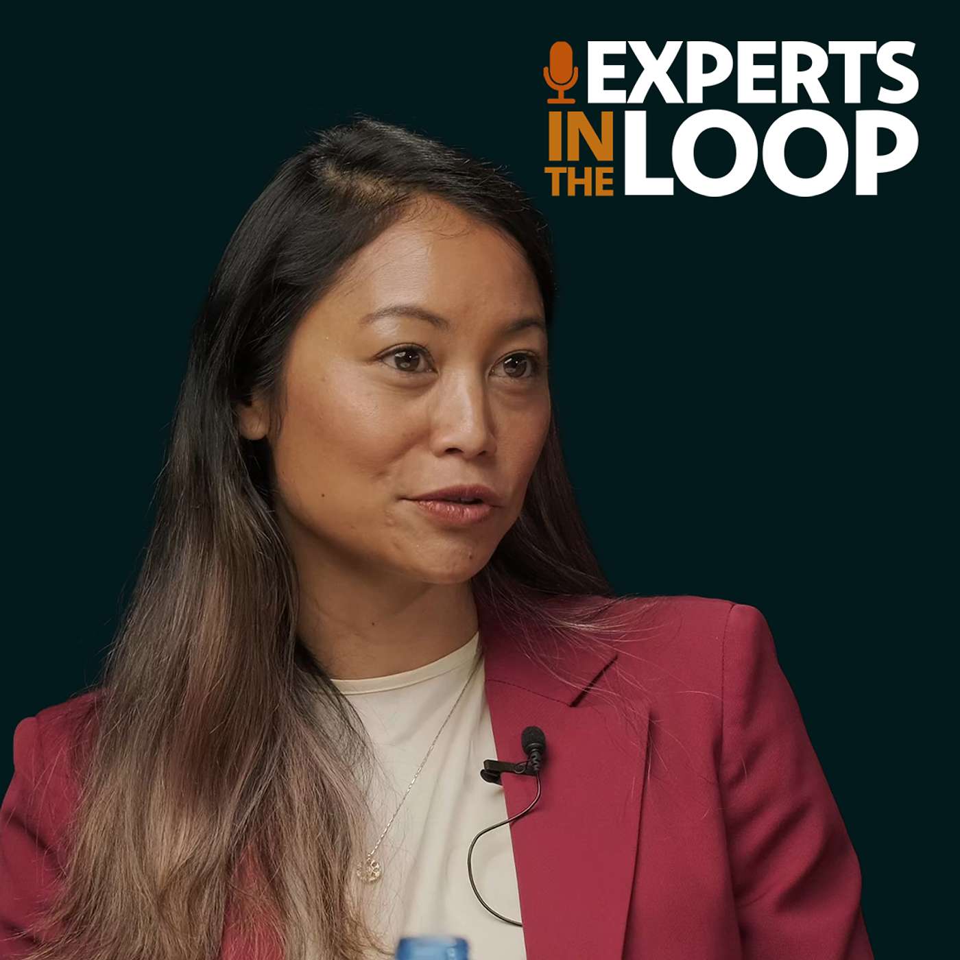 Experts in the Loop