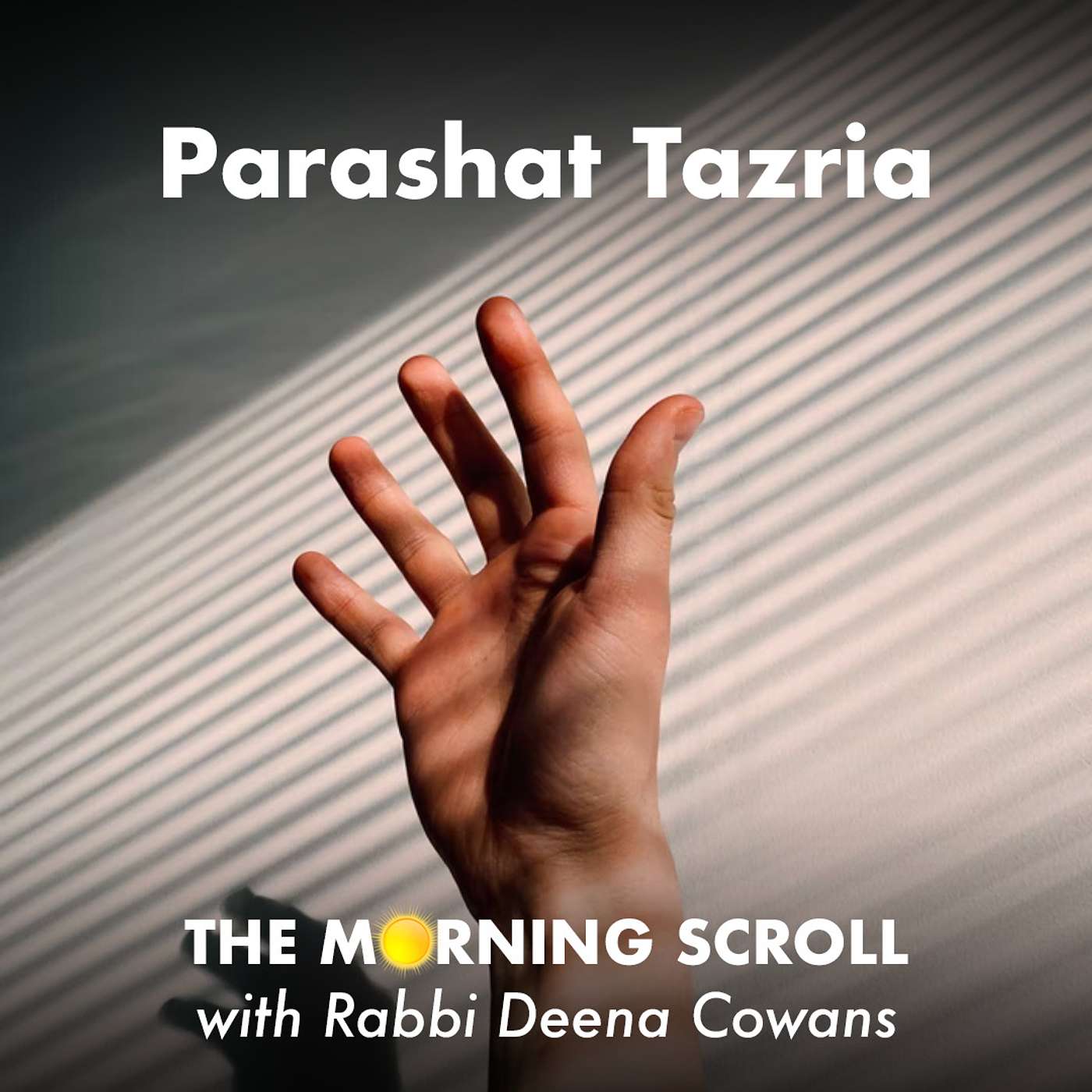 The Morning Scroll