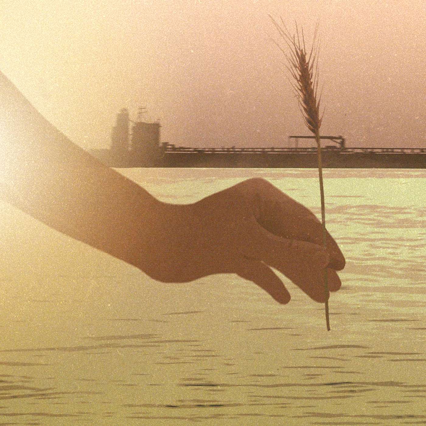 Зерновая сделка | Путин ищет новый рычаг давления