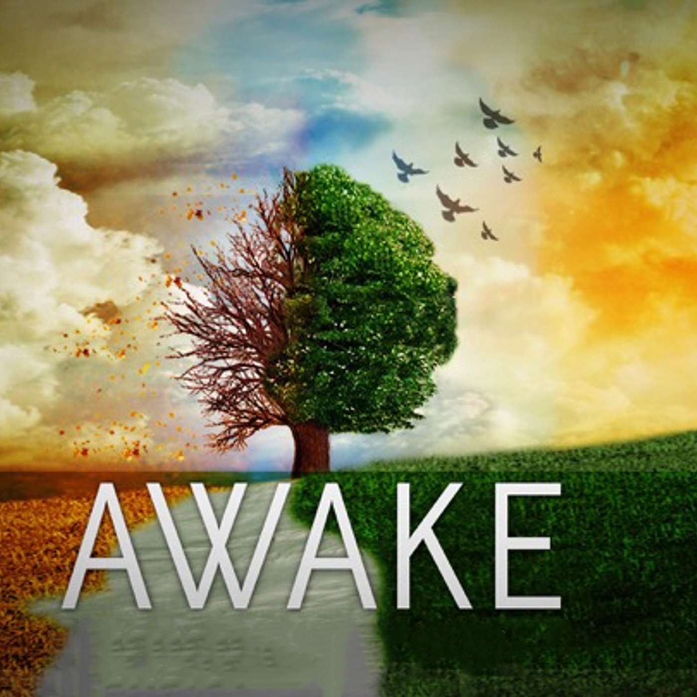 Awake (9:00 am Sermon)