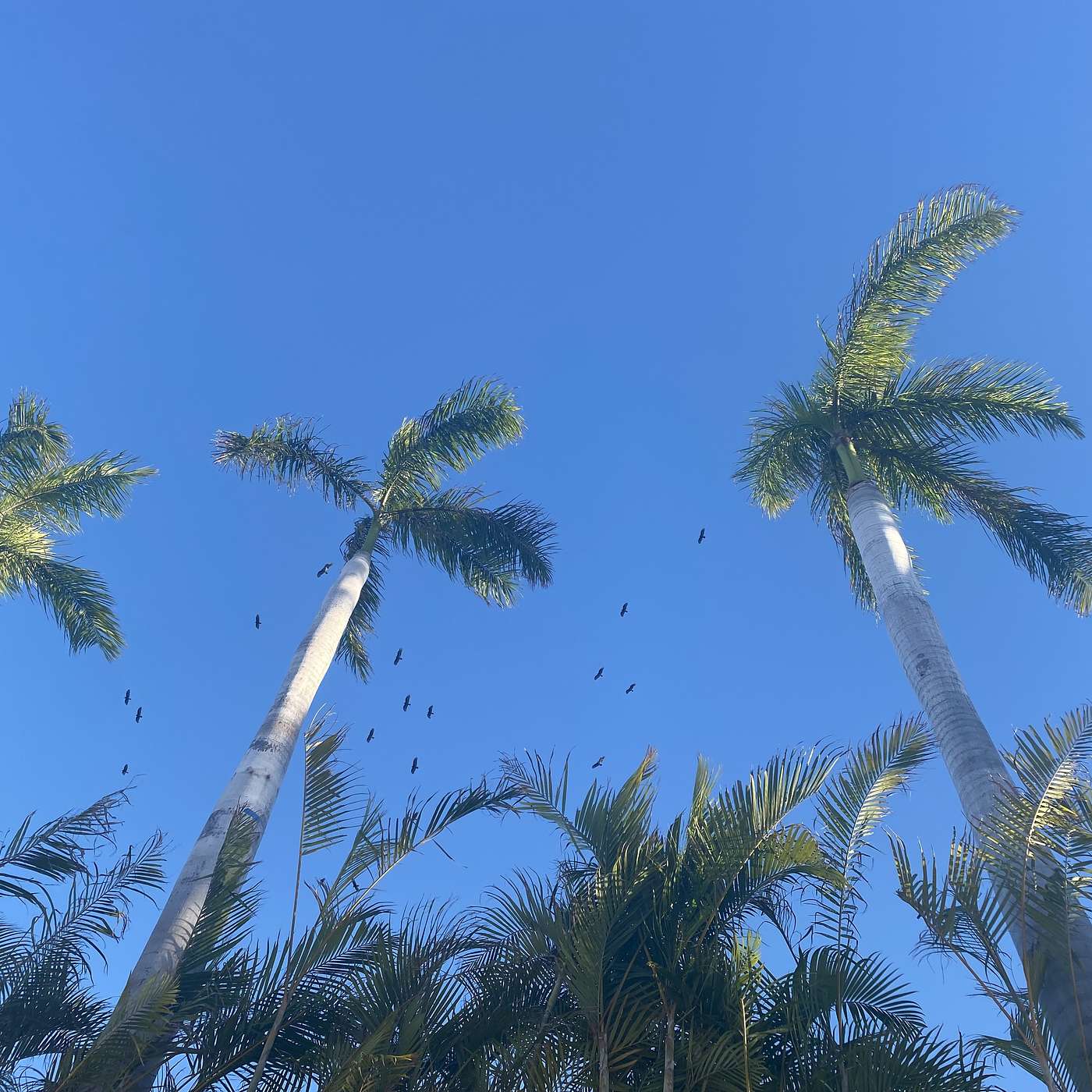 E1S2 - Sistema de Vacaciones y Gleitzeit en Alemania E1S2 - Sistema de Vacaciones y Gleitzeit en Alemania