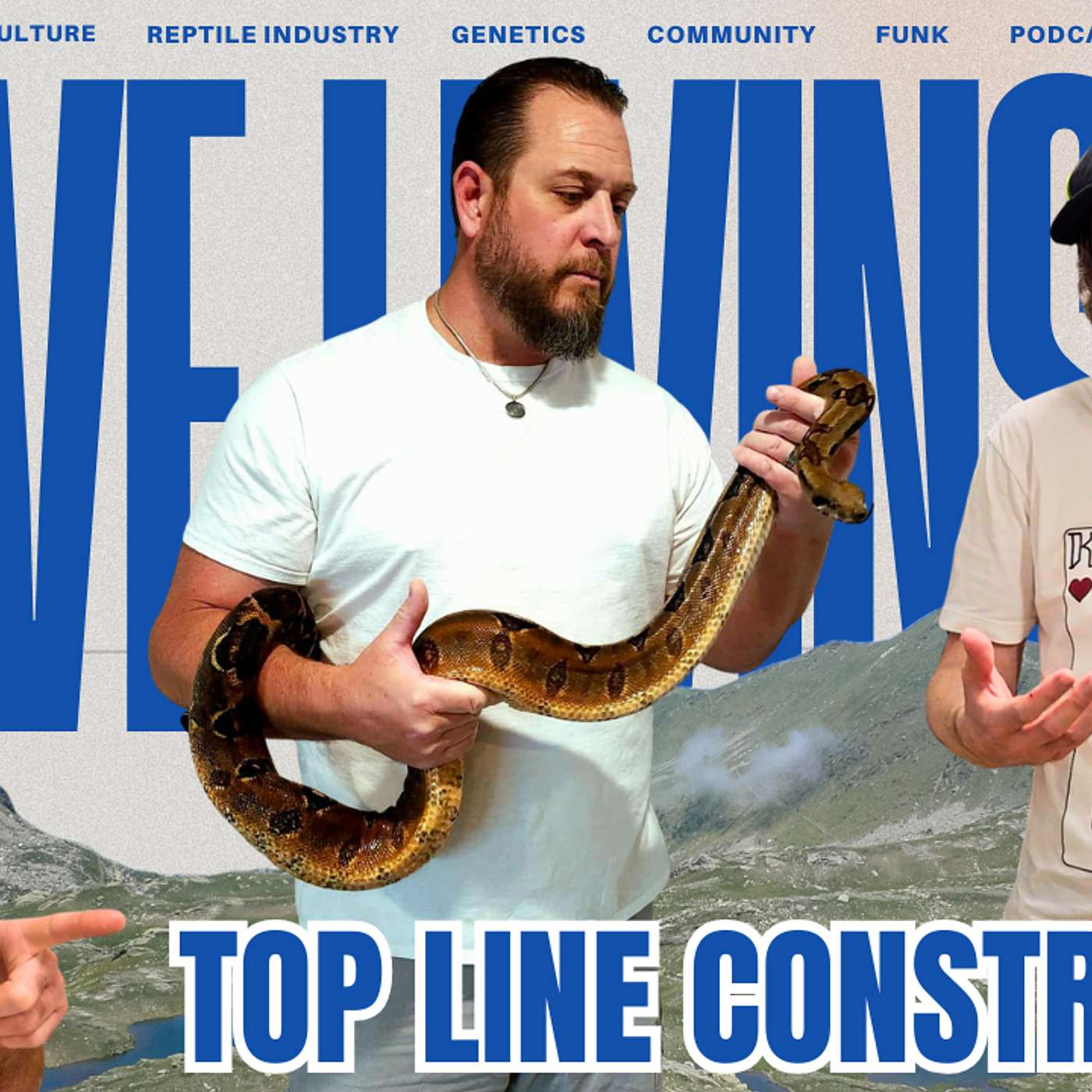 Current State Of The Boa Market... All Good Or All Bad?