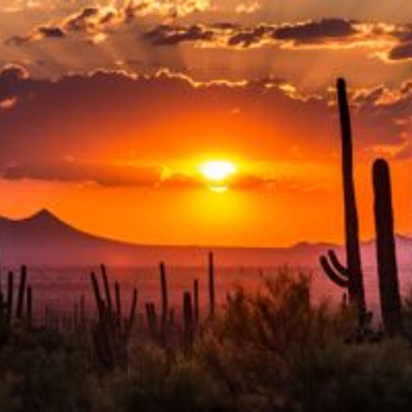 Ever Wonder How Old that Saguaro Cactus Is?