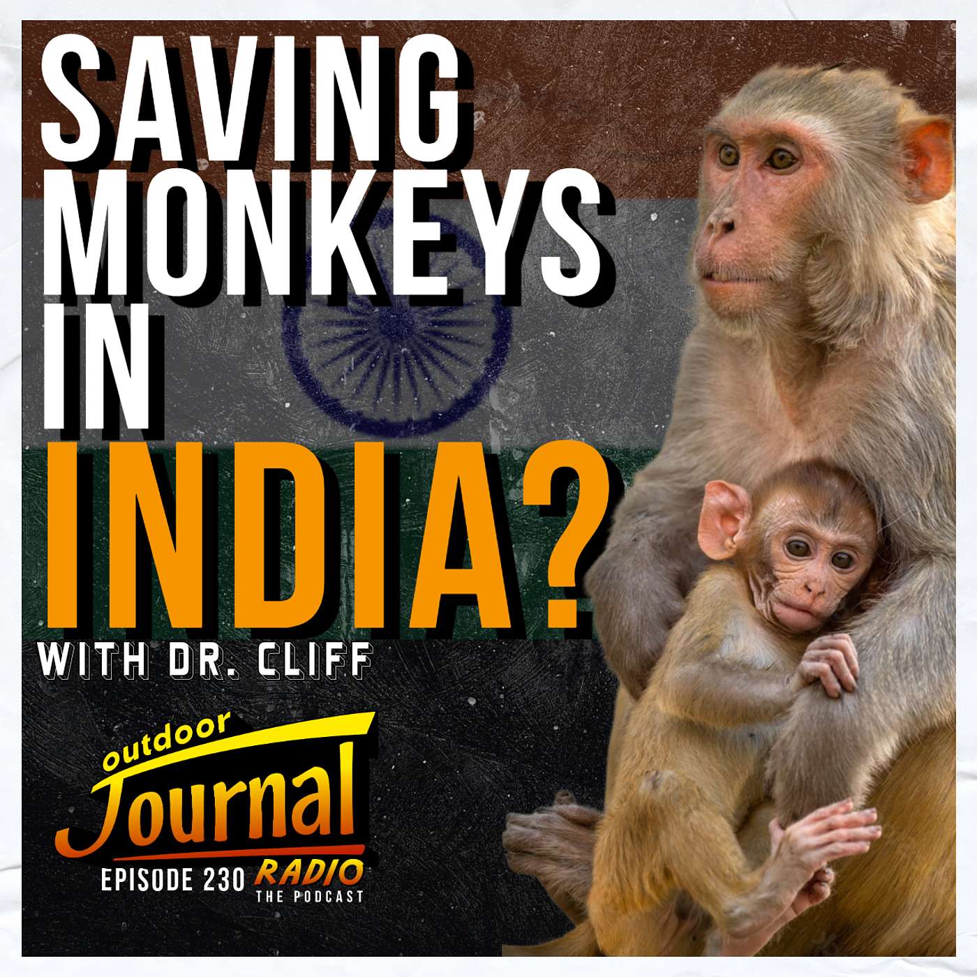 Episode 230: Saving Animals From War, Abuse, and the Streets episode artwork