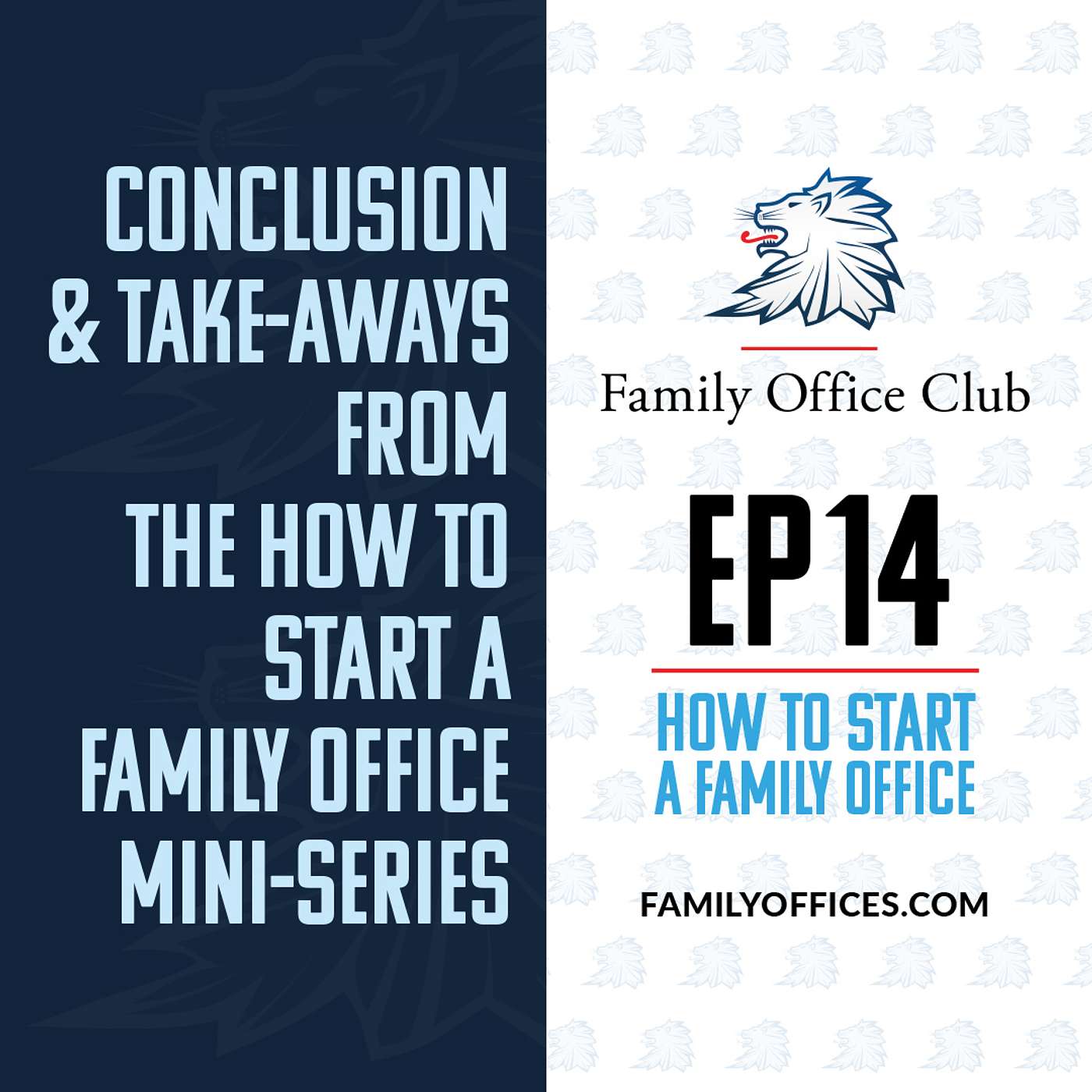 Conclusion & Take-Aways from The How to Start a Family Office Mini-Series | How to Start a Family Office - Mini-Series | EP 14