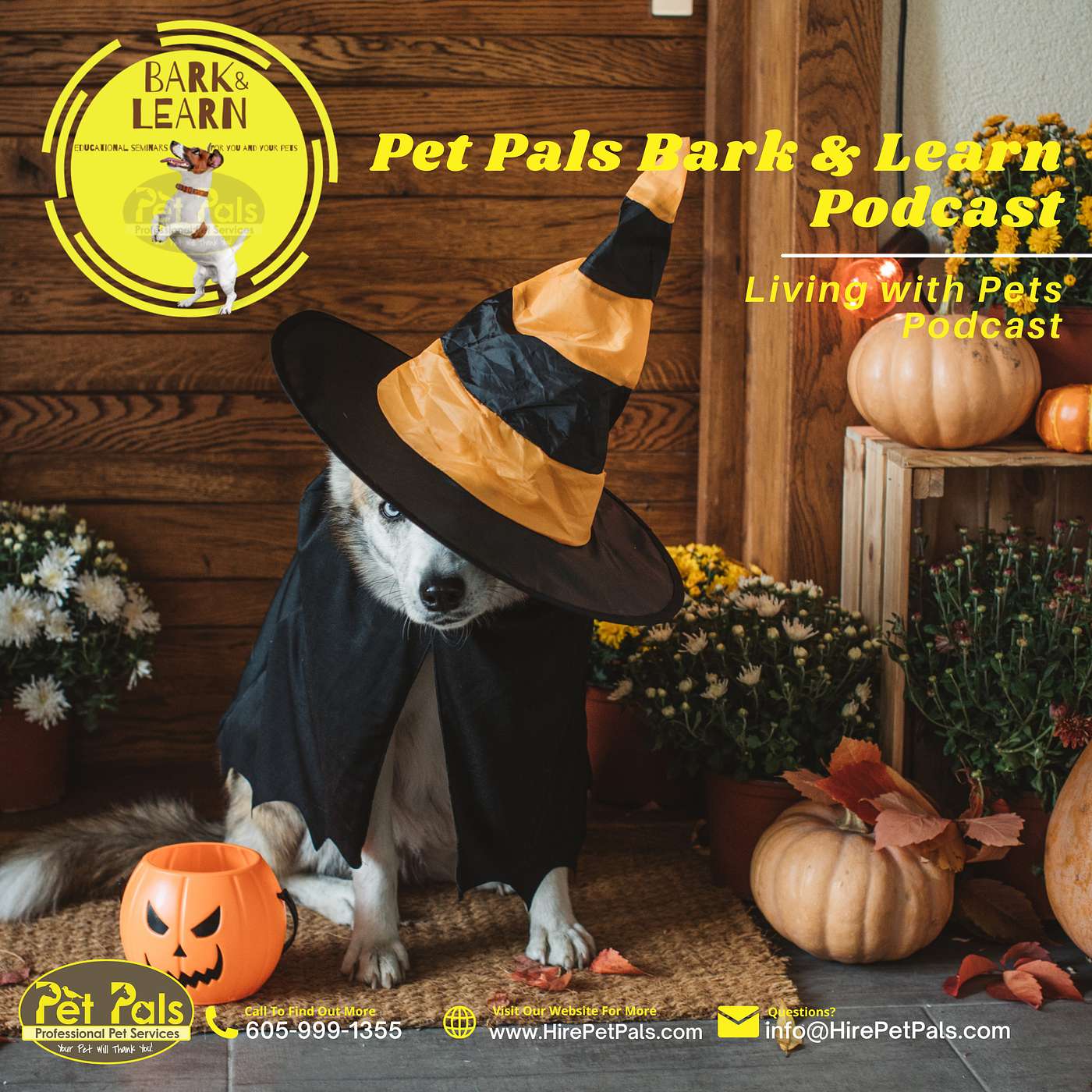 Pet Pals Bark & Learn