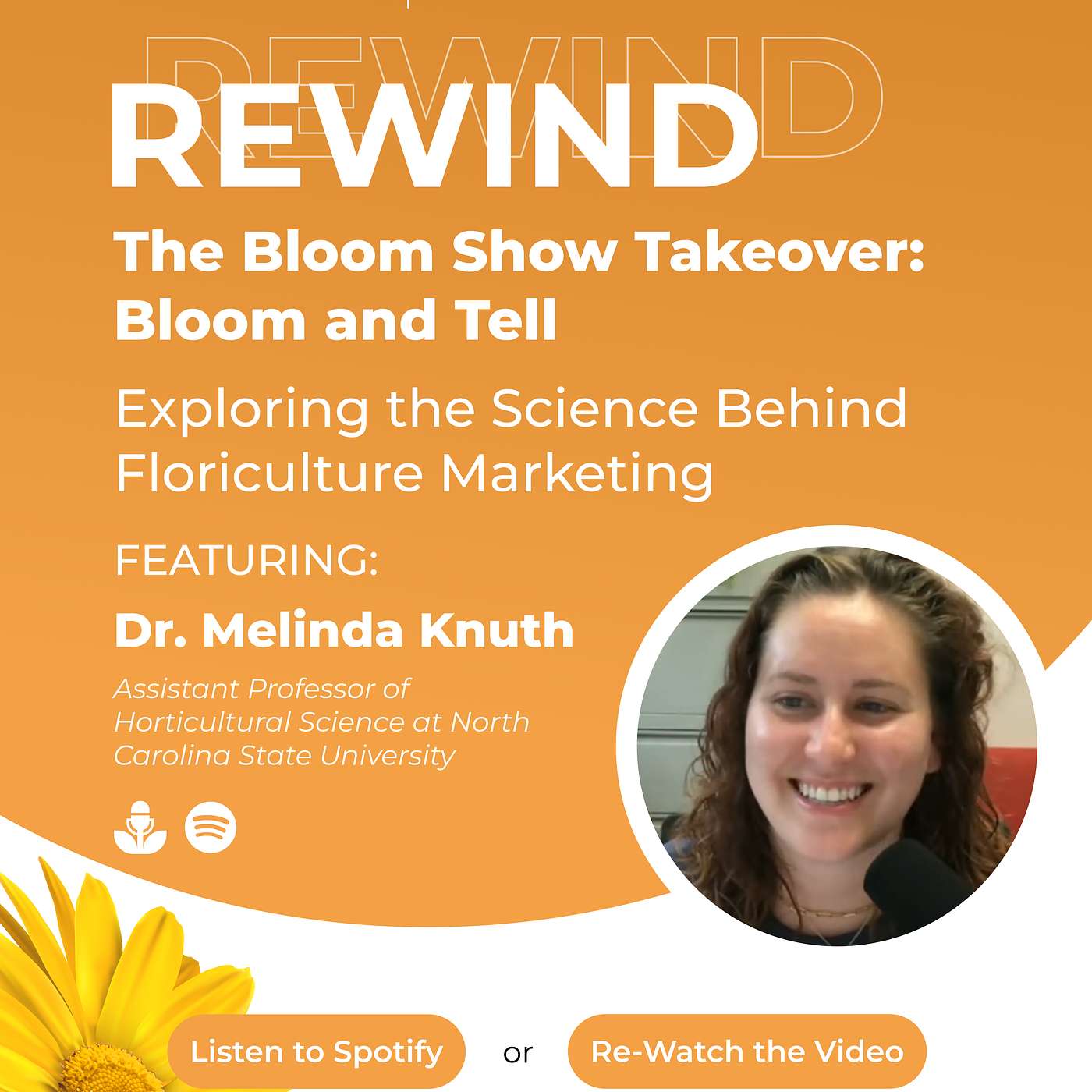 The Bloom Show