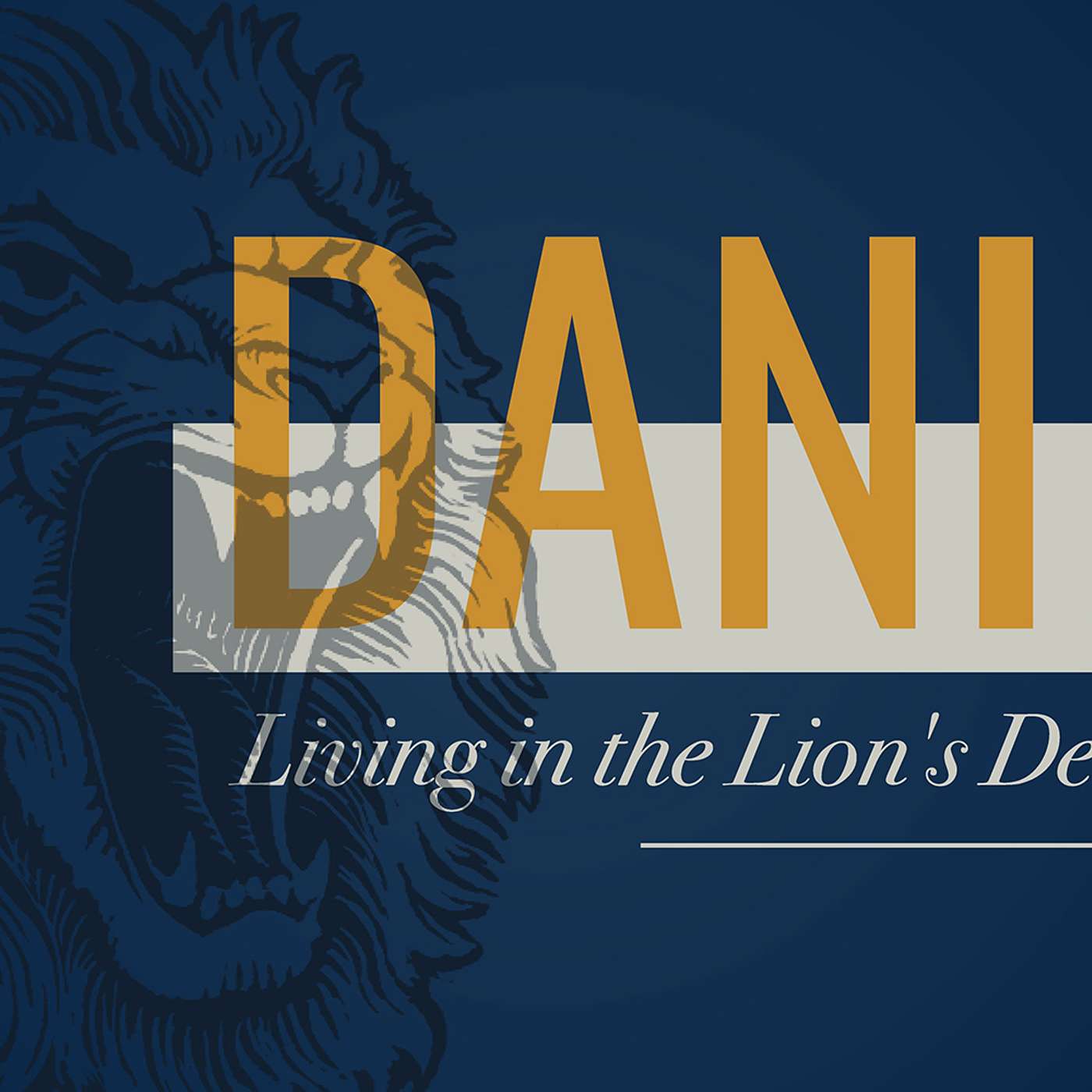 Daniel | Inside the Fiery Furnace episode artwork