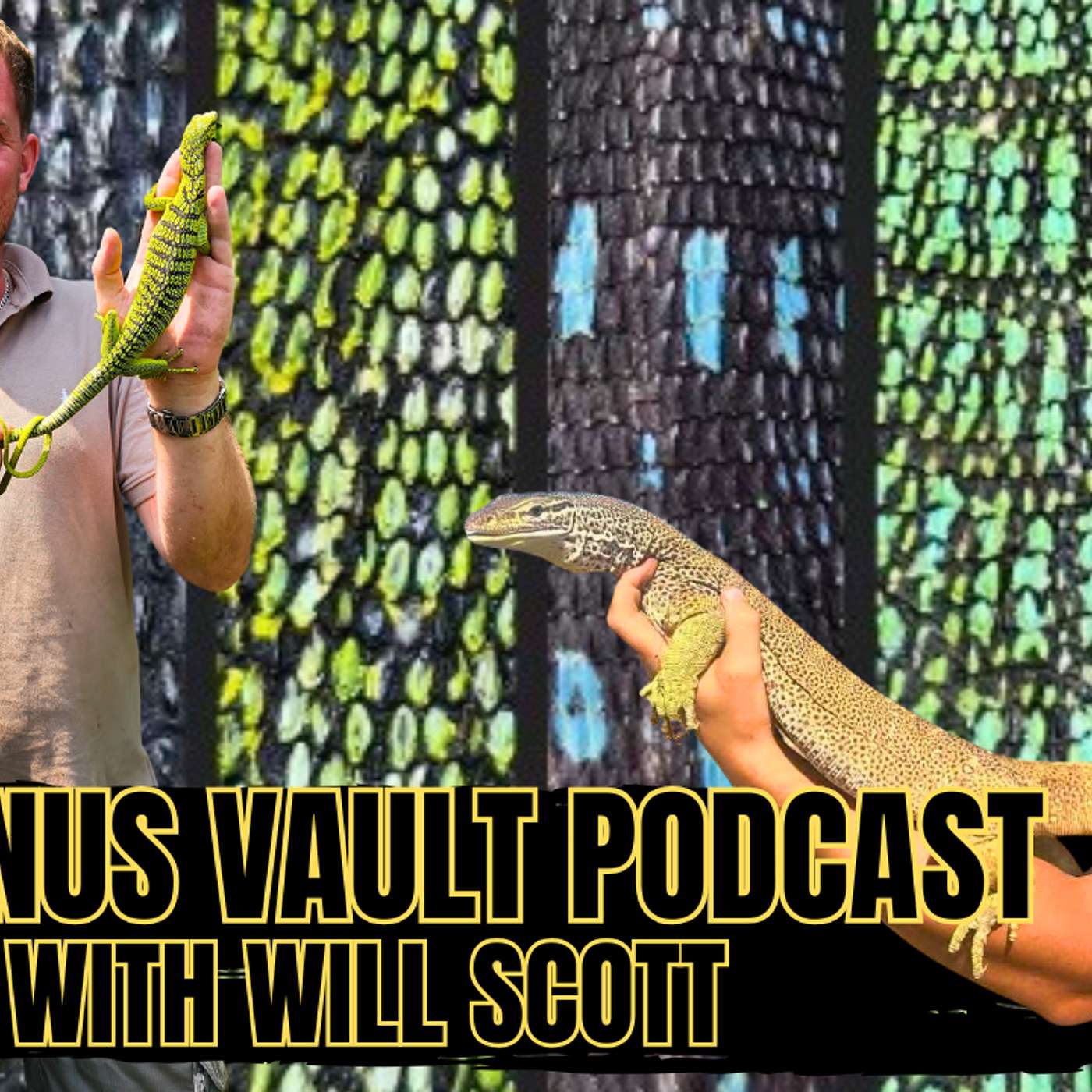 Deep Dive On Three New Species Of Rock monitors With Will Scott | Varanus Vault Ep.32