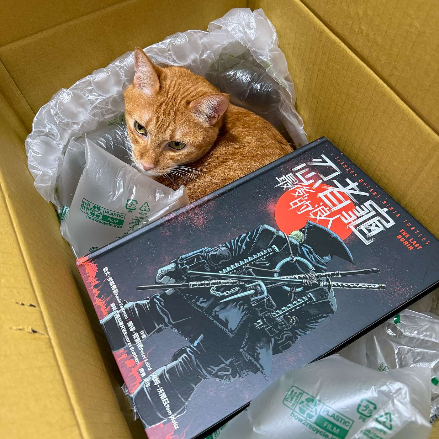 【鮑鮑看漫畫EP84】從地下漫畫到80、90年代熱門IP：《忍者龜：最後的浪人》的復古詮釋