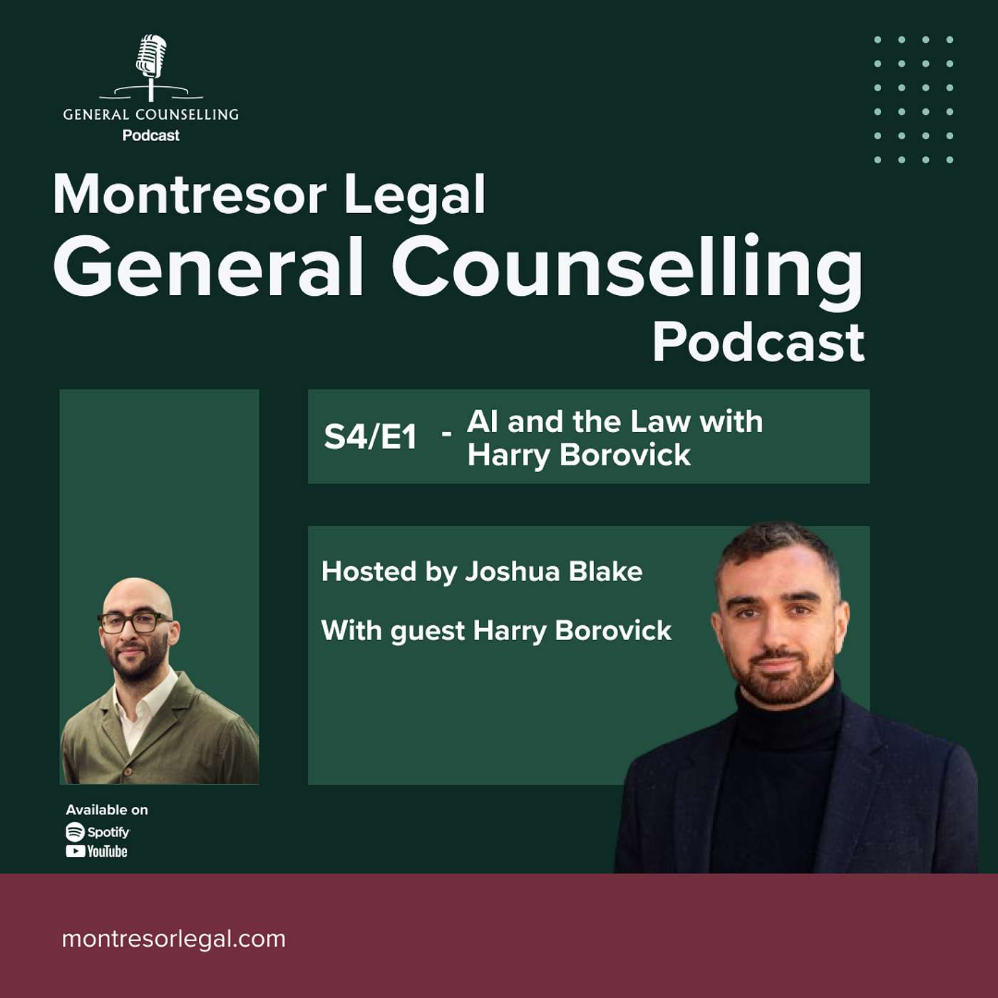 AI and the Law with Harry Borovick