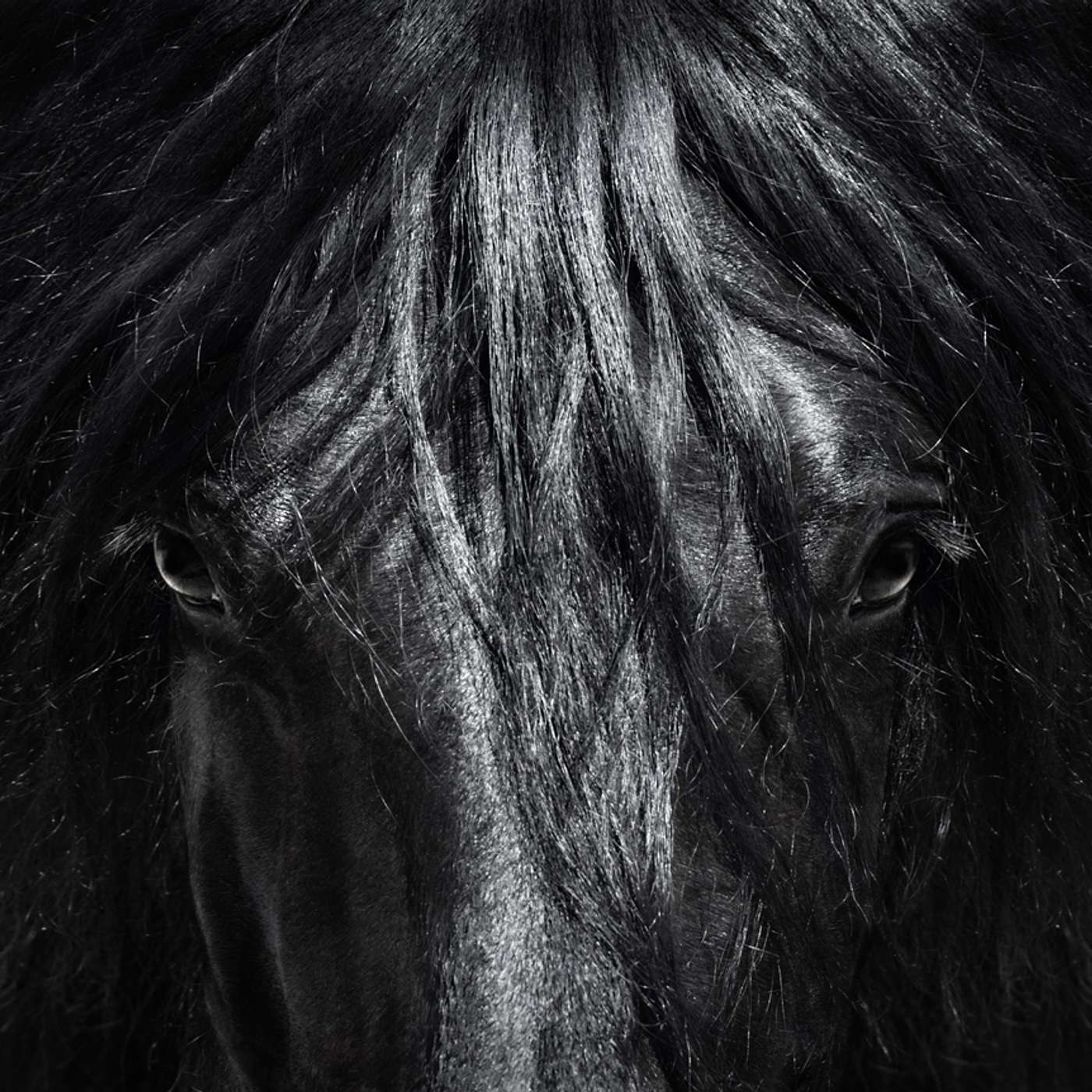 House of Legends: World Myths & Legends