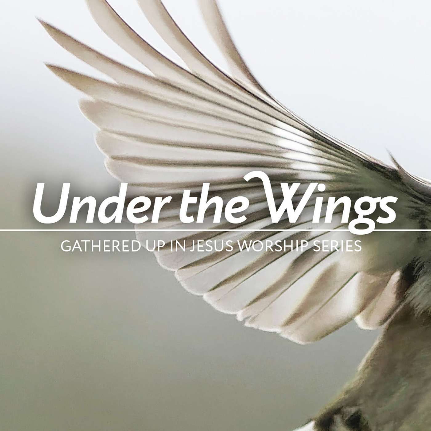3-13-22 Under the Wings: Gathered Up in Jesus (Second Sunday of Lent) episode artwork