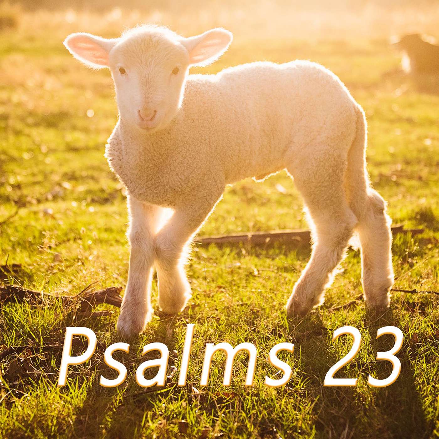 Psalm 23- What it really says & why it matters: It’s not what you think!