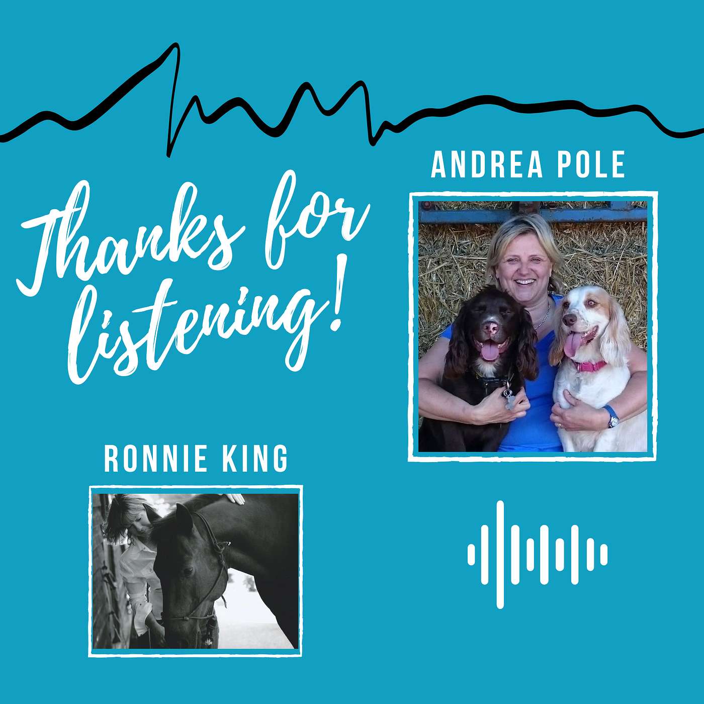 Interview with Andrea Pole - Equine Massage Training Uk