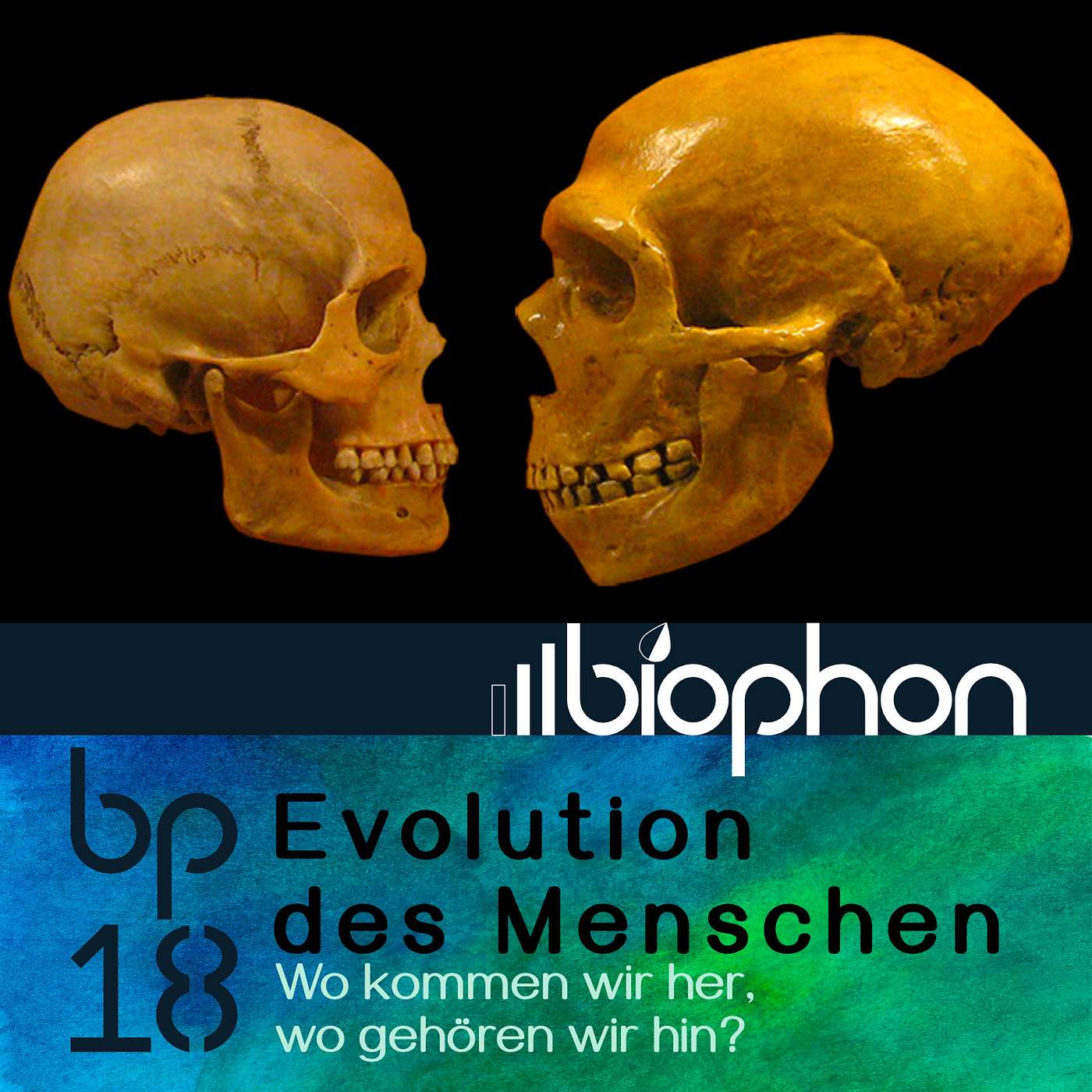 biophon - Geschichten aus Biowissenschaft und Forschung