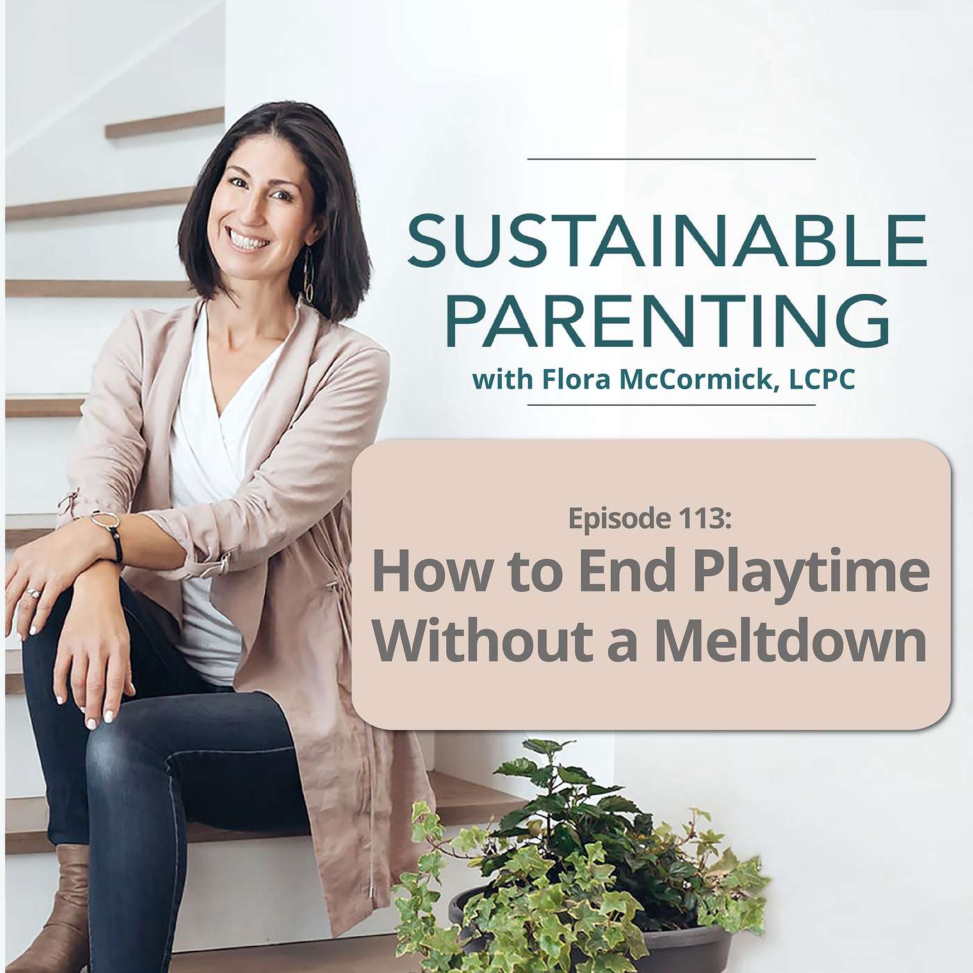 113. How to End Playtime Without a Meltdown