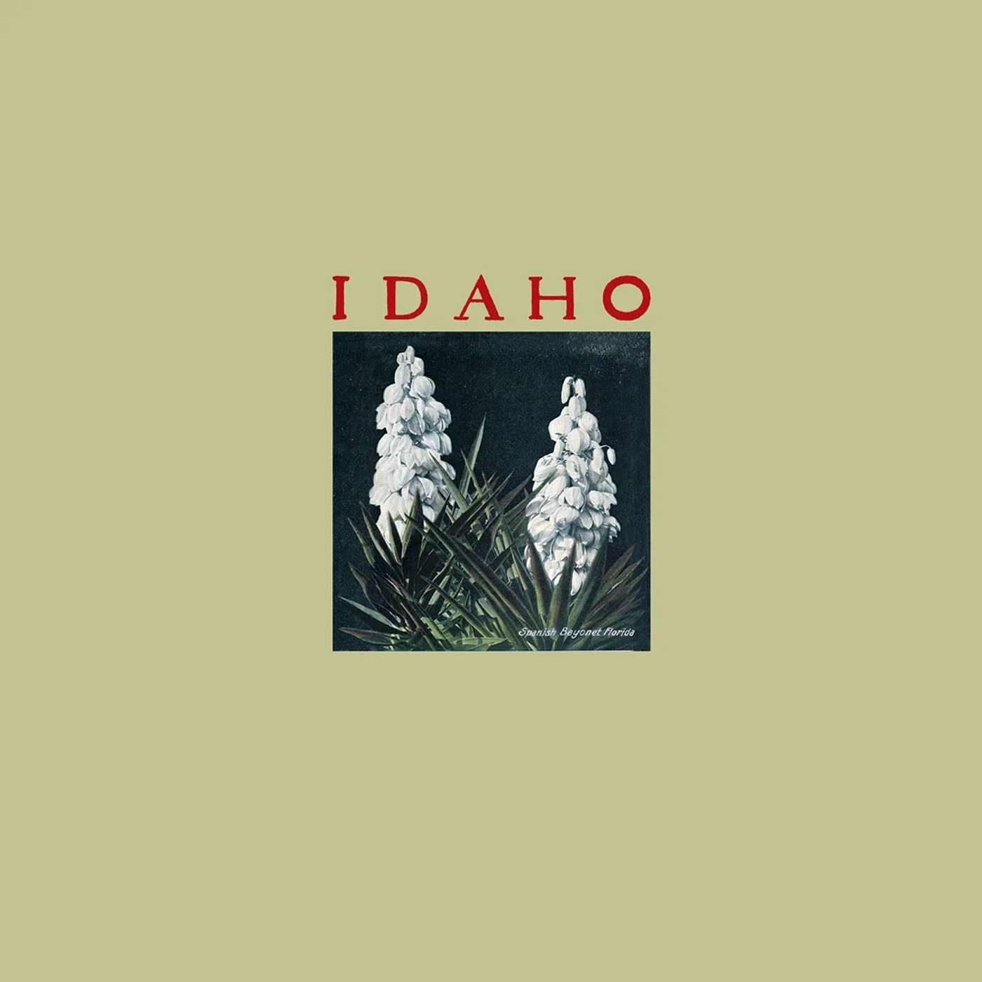 Jeff Martin of Idaho, My Most Listened to Band episode artwork