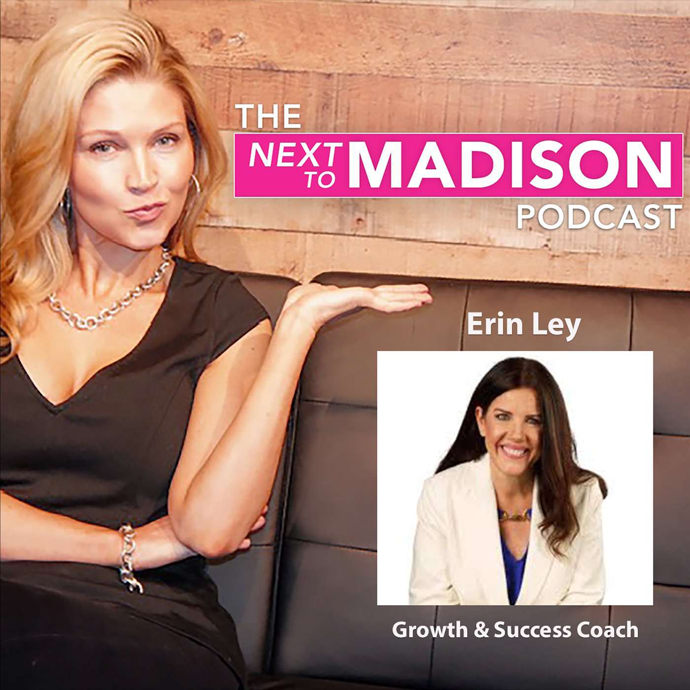 Unlock Your 7-Figure Self: Mastering the Millionaire Mindset with Author & Mindset Coach Erin Ley episode artwork