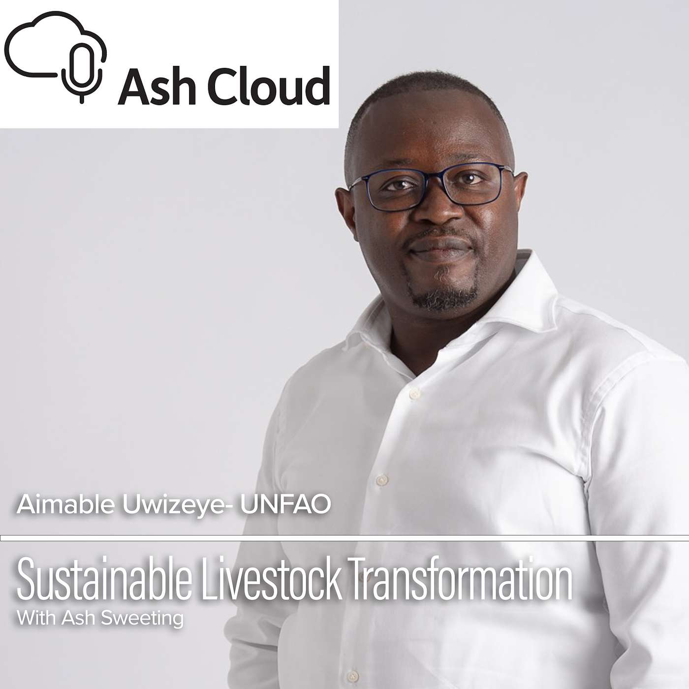 Sustainable Livestock Transformation Initiative with Aimable Uwizeye UNFAO
