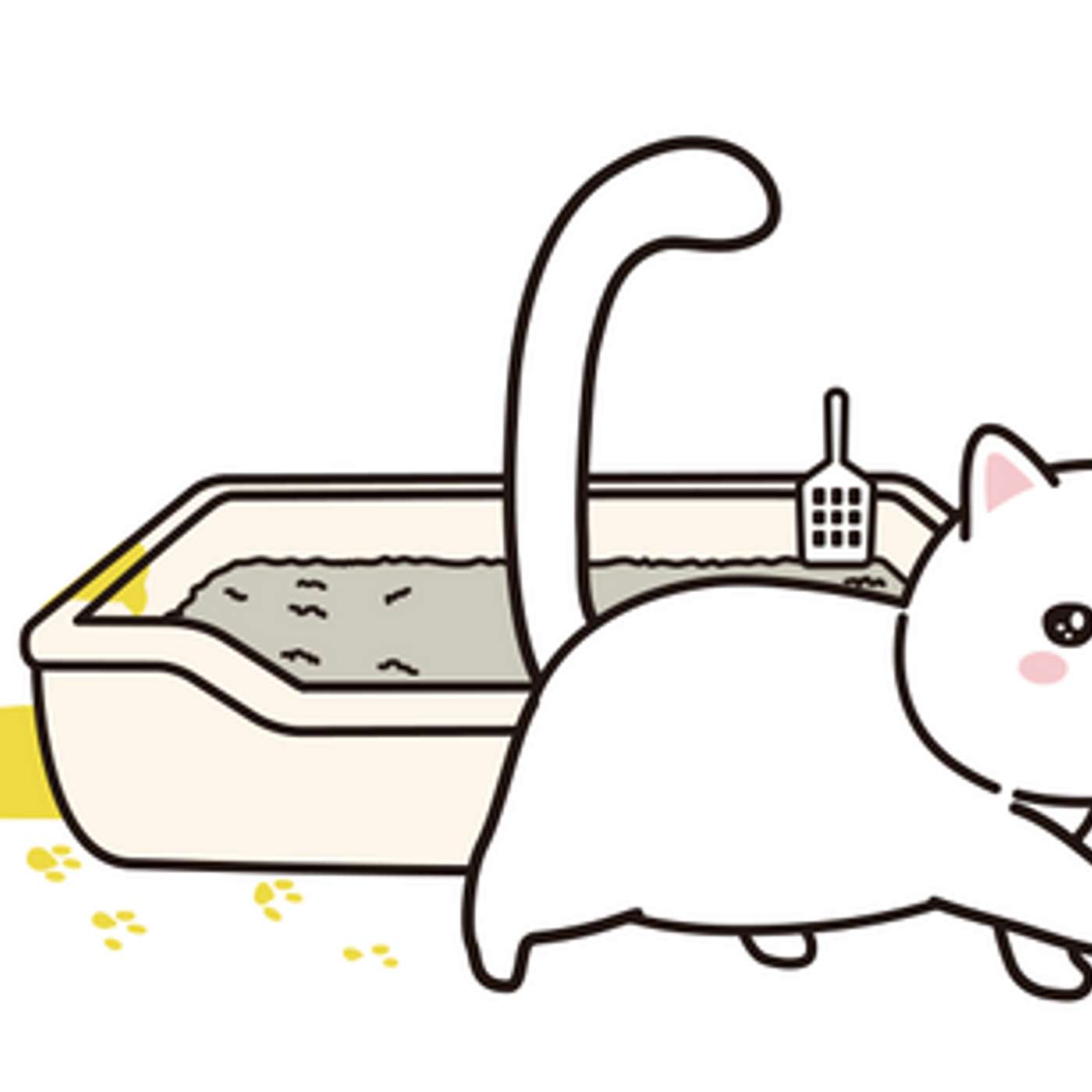 5 Reasons Why Cats Pee Outside the Litter Box and How to Fix It