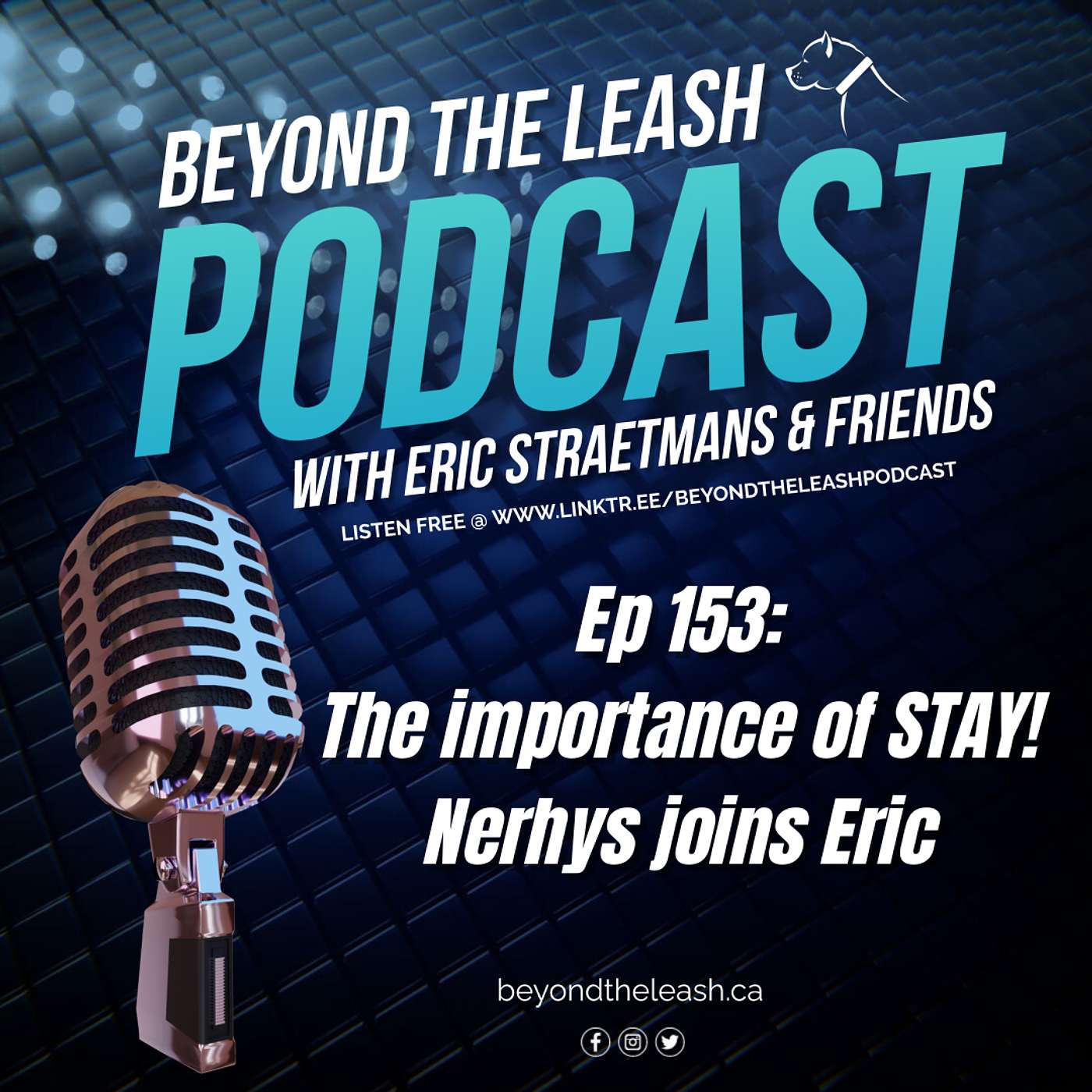Beyond The Leash