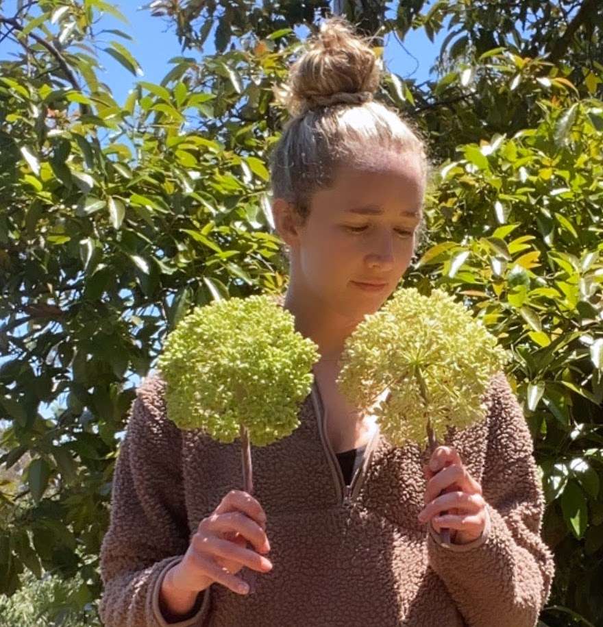 Kelsey Conger, MS | Herbalist + Nutritionist