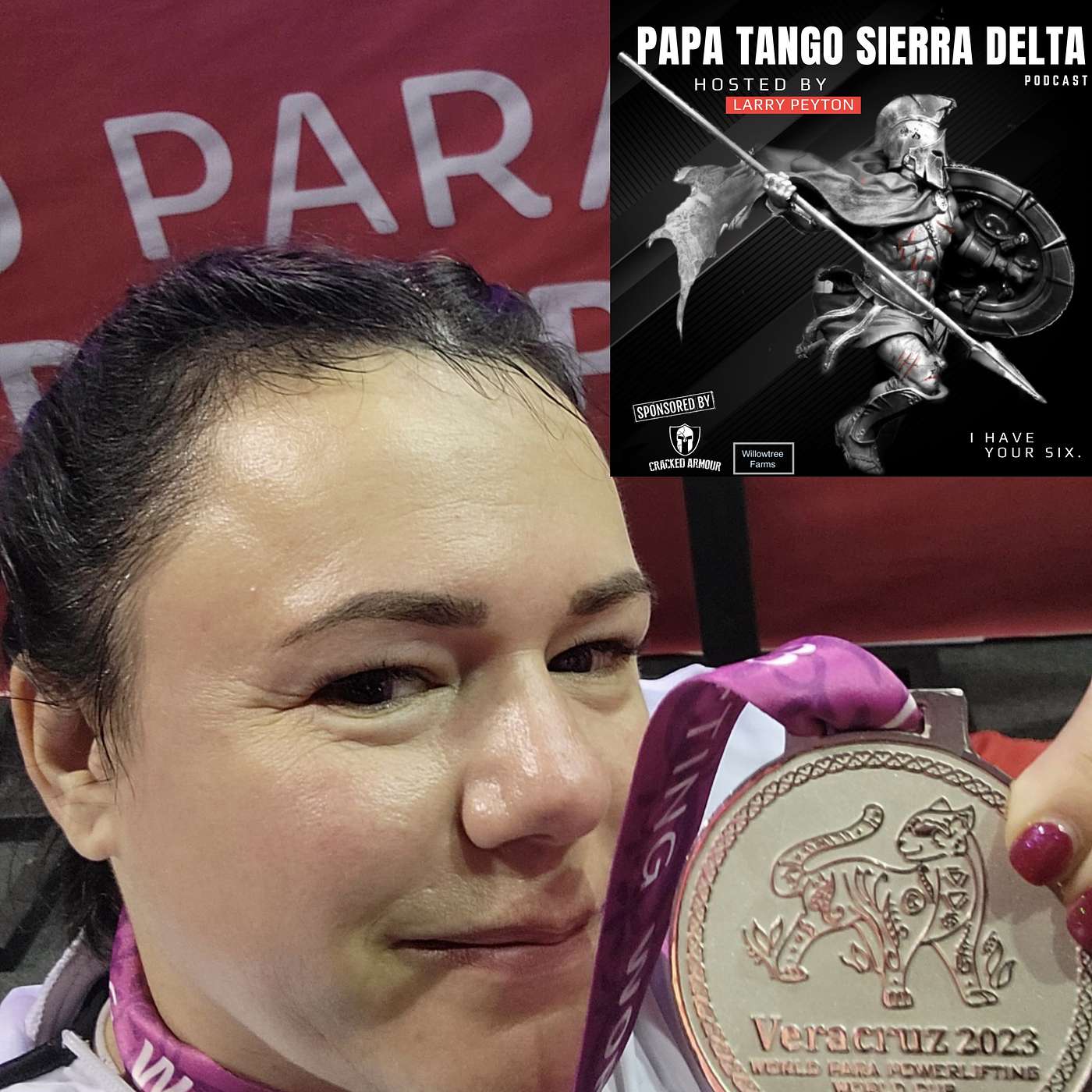 Papa Tango Sierra Delta