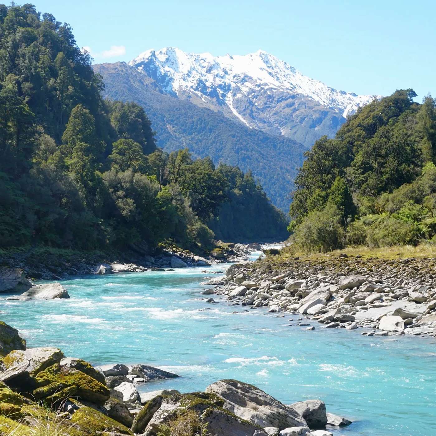 Copland Track & Welcome Flat Hut Copland Track & Welcome Flat Hut
