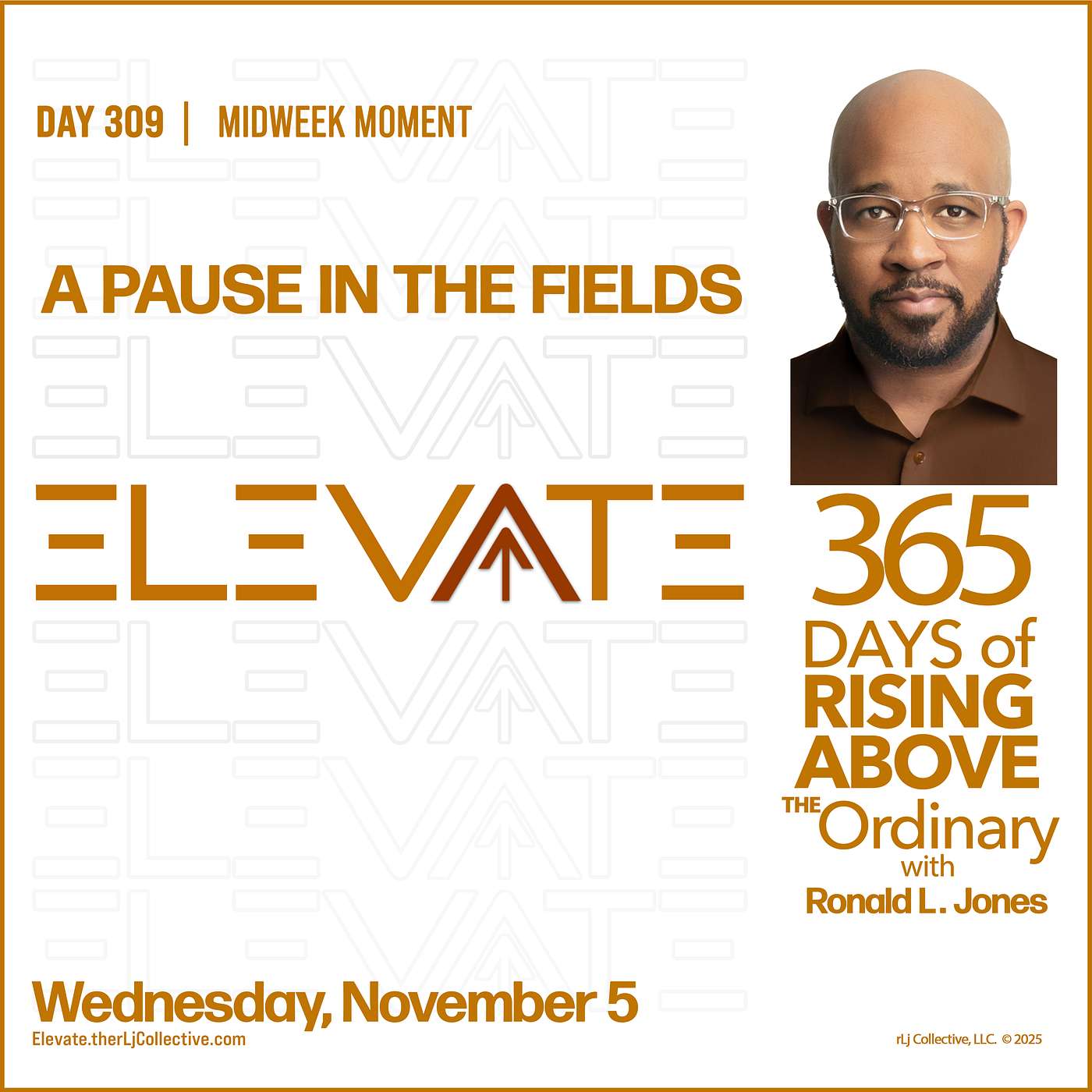 Day 309: A Pause in the Fields