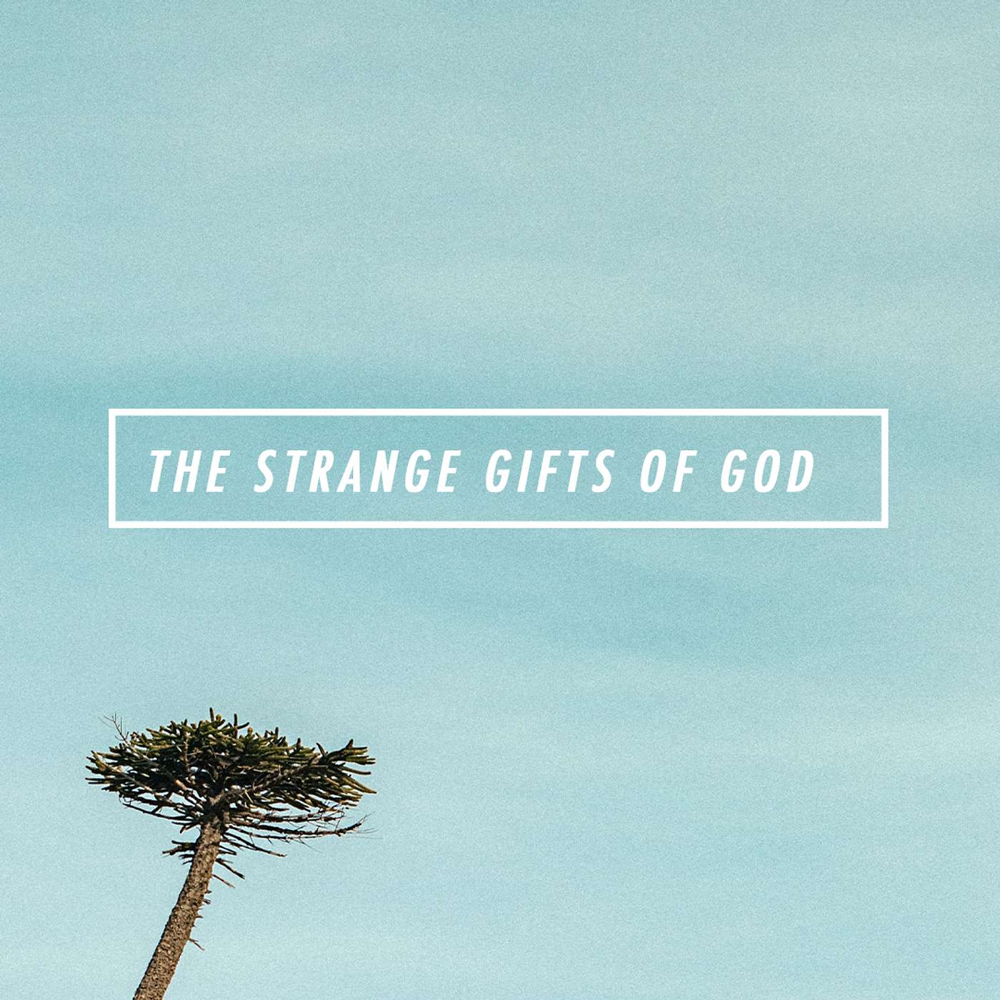 The Strange Gifts of God: The Gift of Accountability | Part 2 episode artwork