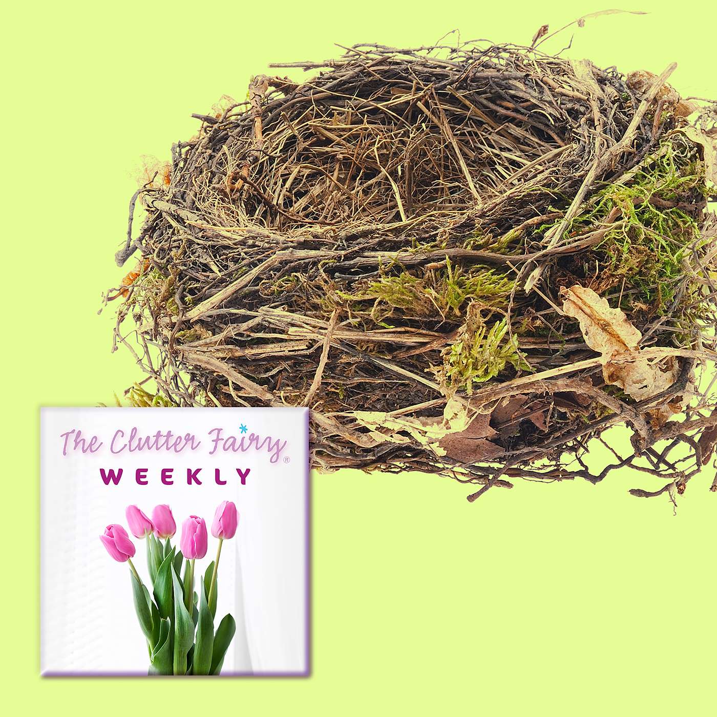 The Clutter Fairy Weekly #53 - Nests, Empty or Otherwise: Reclaiming and Surrendering Space