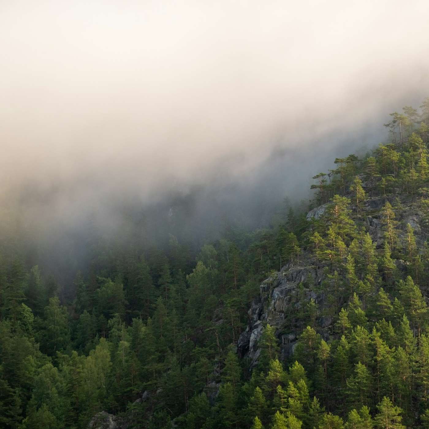Anskaffelsespodden episode 70: Miljøbestemmelsen i praksis Anskaffelsespodden episode 70: Miljøbestemmelsen i praksis