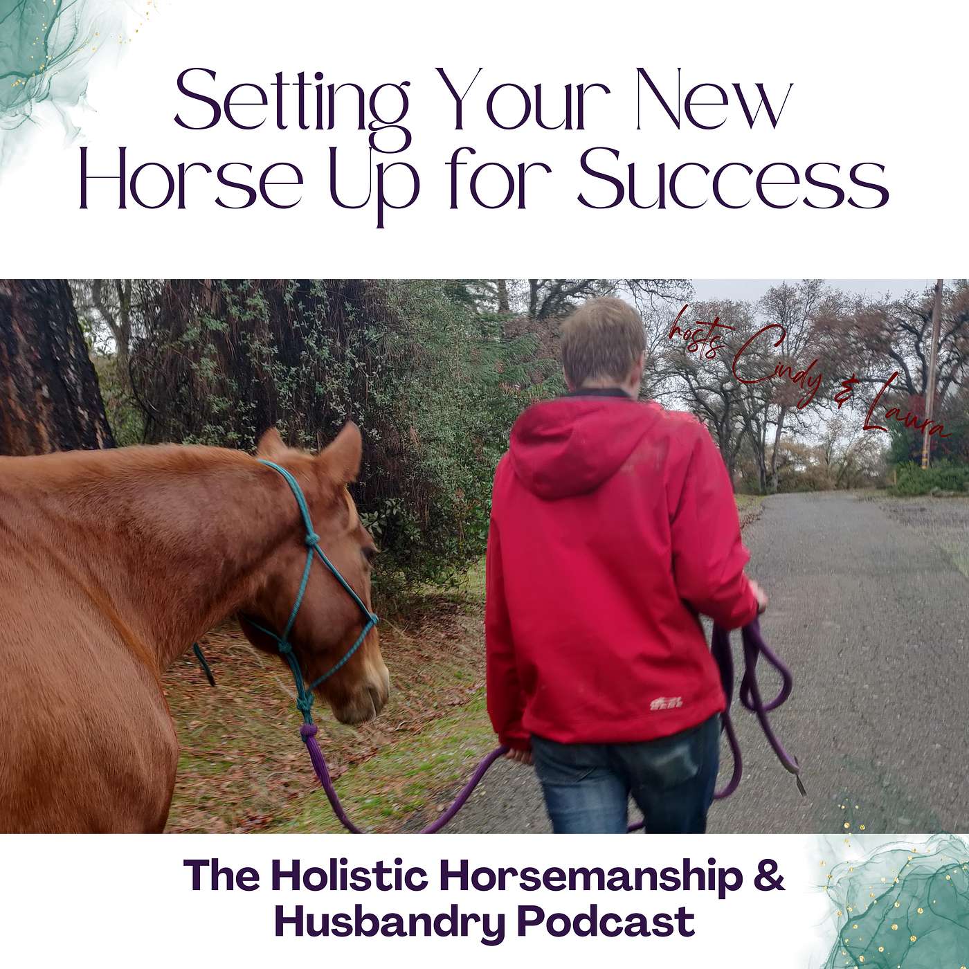 The Holistic Horsemanship and Husbandry Podcast