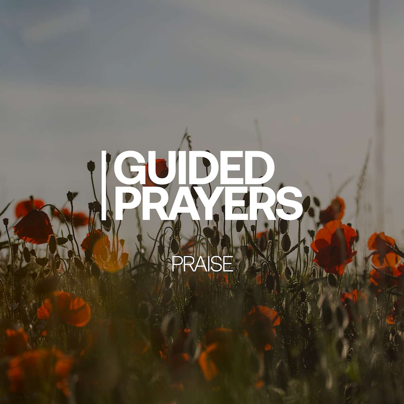 Rising Above Your Circumstances With Prayer | Guided Prayers episode artwork