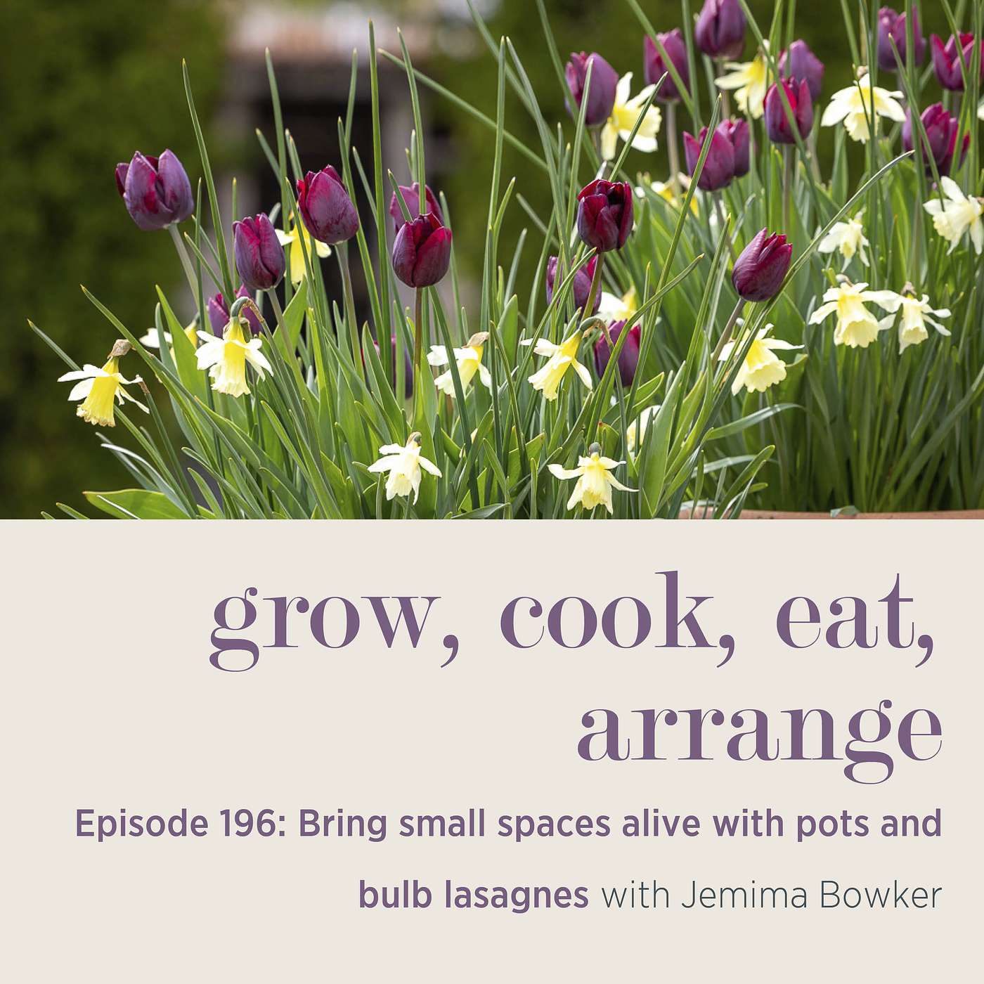 Bring small spaces alive with pots and bulb lasagnes with Jemima Bowker - Episode 196