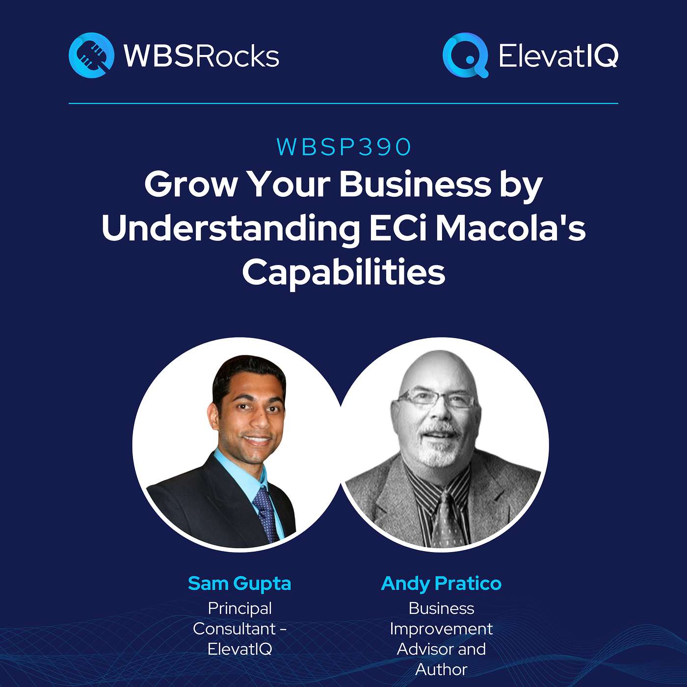 WBSRocks: Business Growth with Enterprise Software and Digital Transformation
