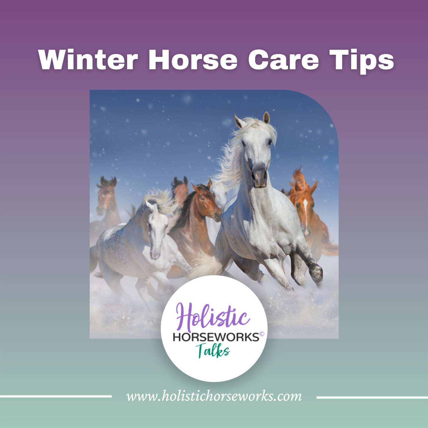 Holistic Horseworks Talks with April Love