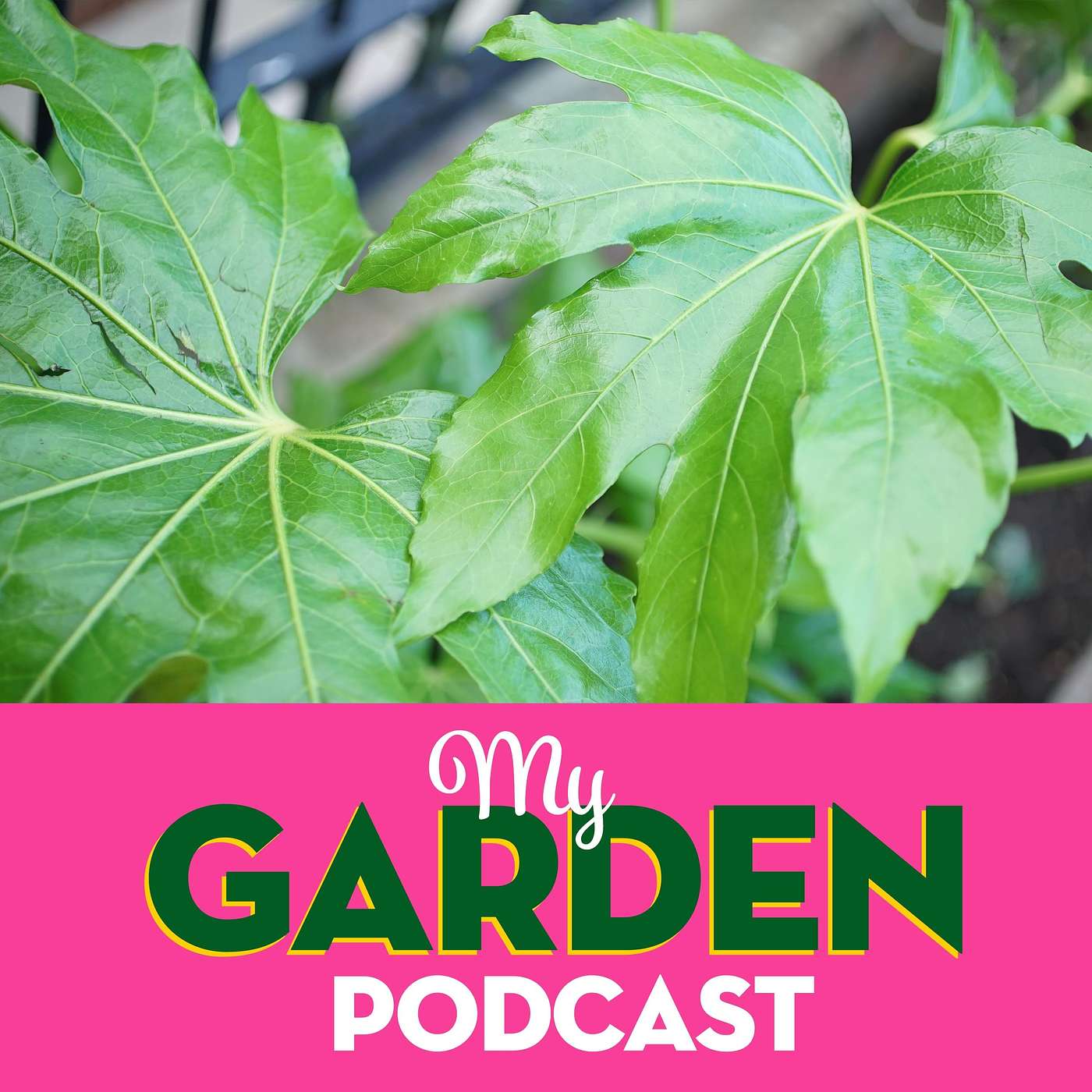 My Garden Podcast - Gardening Podcast