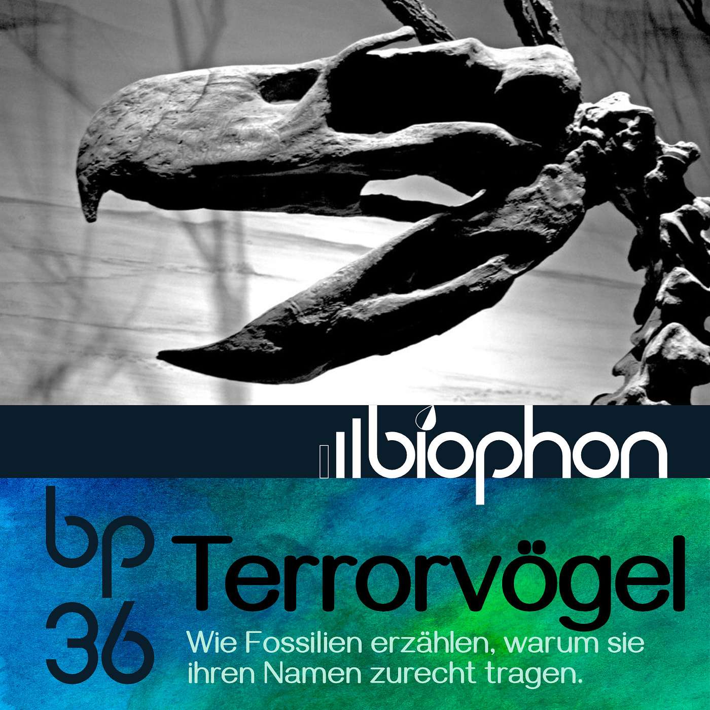 bp36: Terrorvögel - Wie Fossilien erzählen, warum sie ihren Namen zurecht tragen