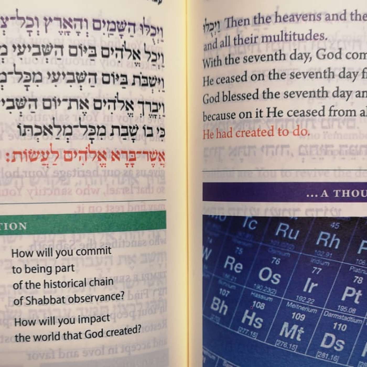 Episode 5 - Celebrating Shabbos and Embracing our mission