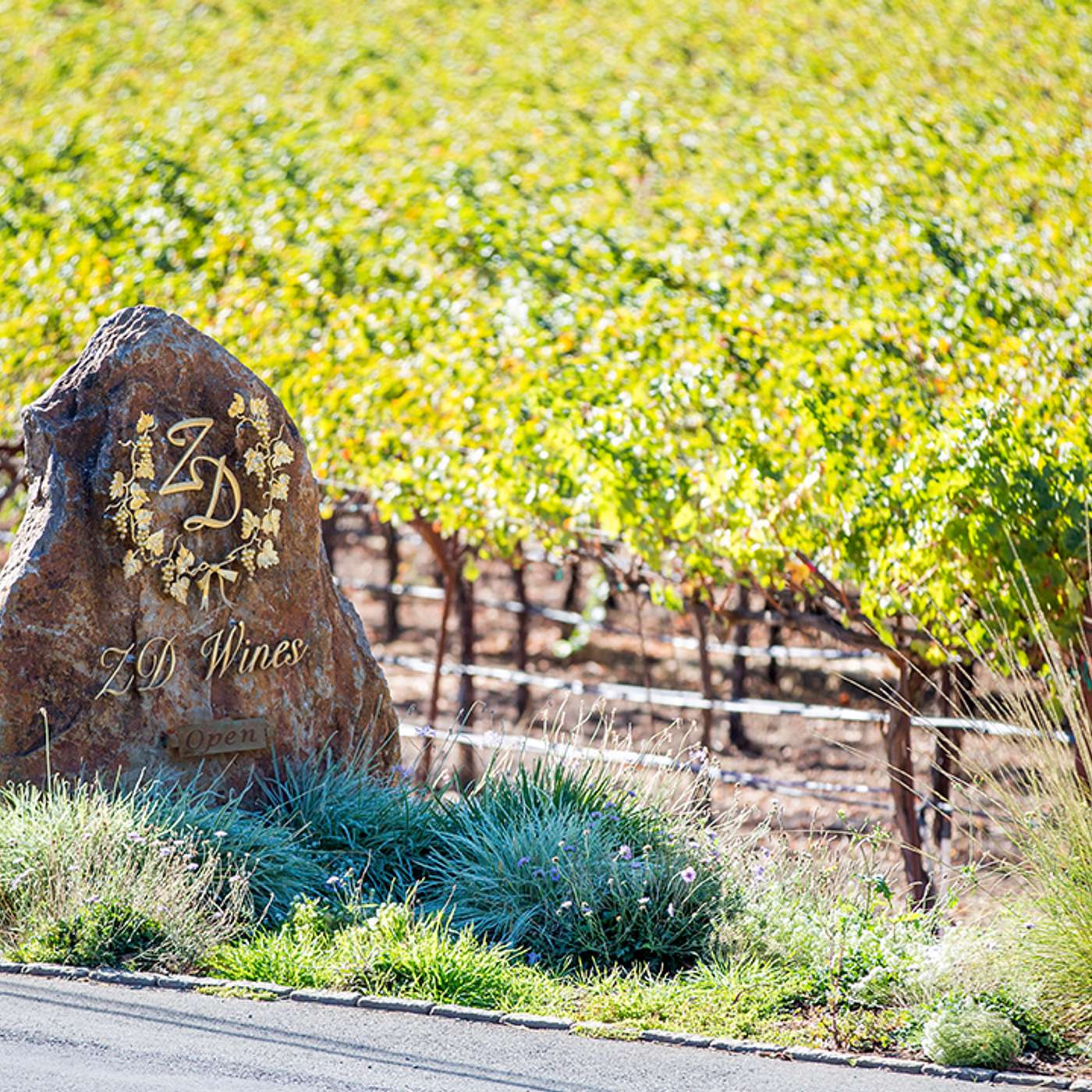 Episode 161: ZD Winery is a Napa icon, still family owned and operated since 1969! episode artwork