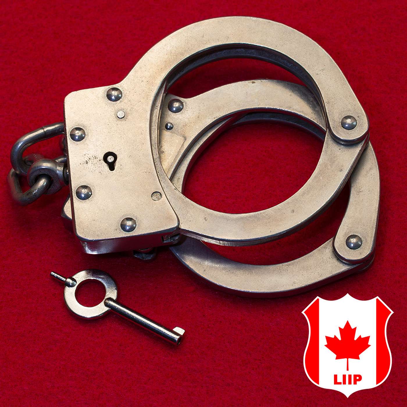 E133| To arrest or not (2) arrest? That is the question. E133| To arrest or not (2) arrest? That is the question.