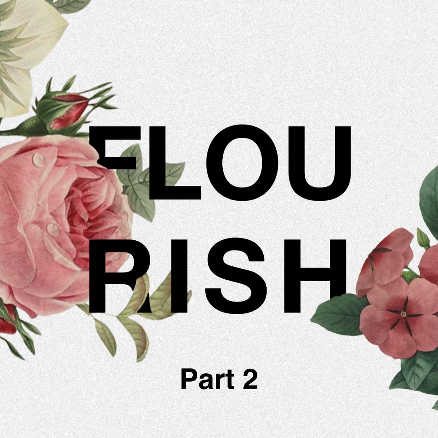 Flourish - Part 2