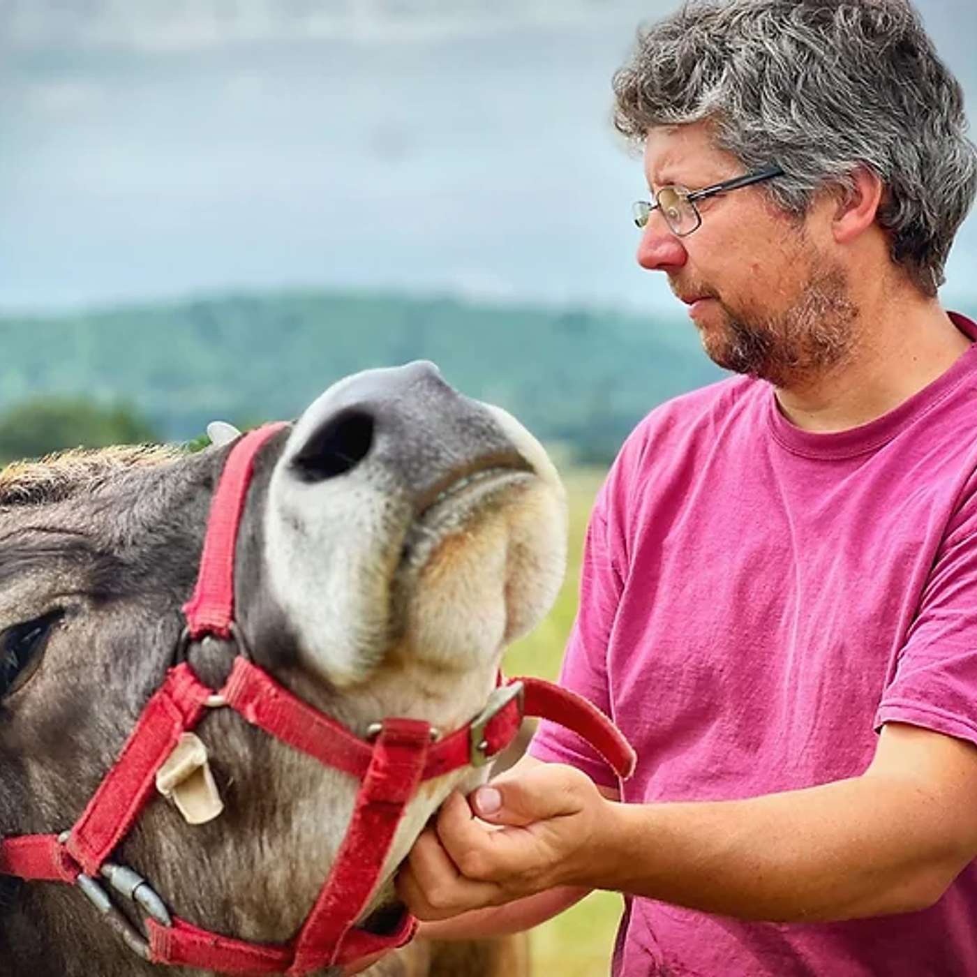 Investing in Regenerative Agriculture and Food
