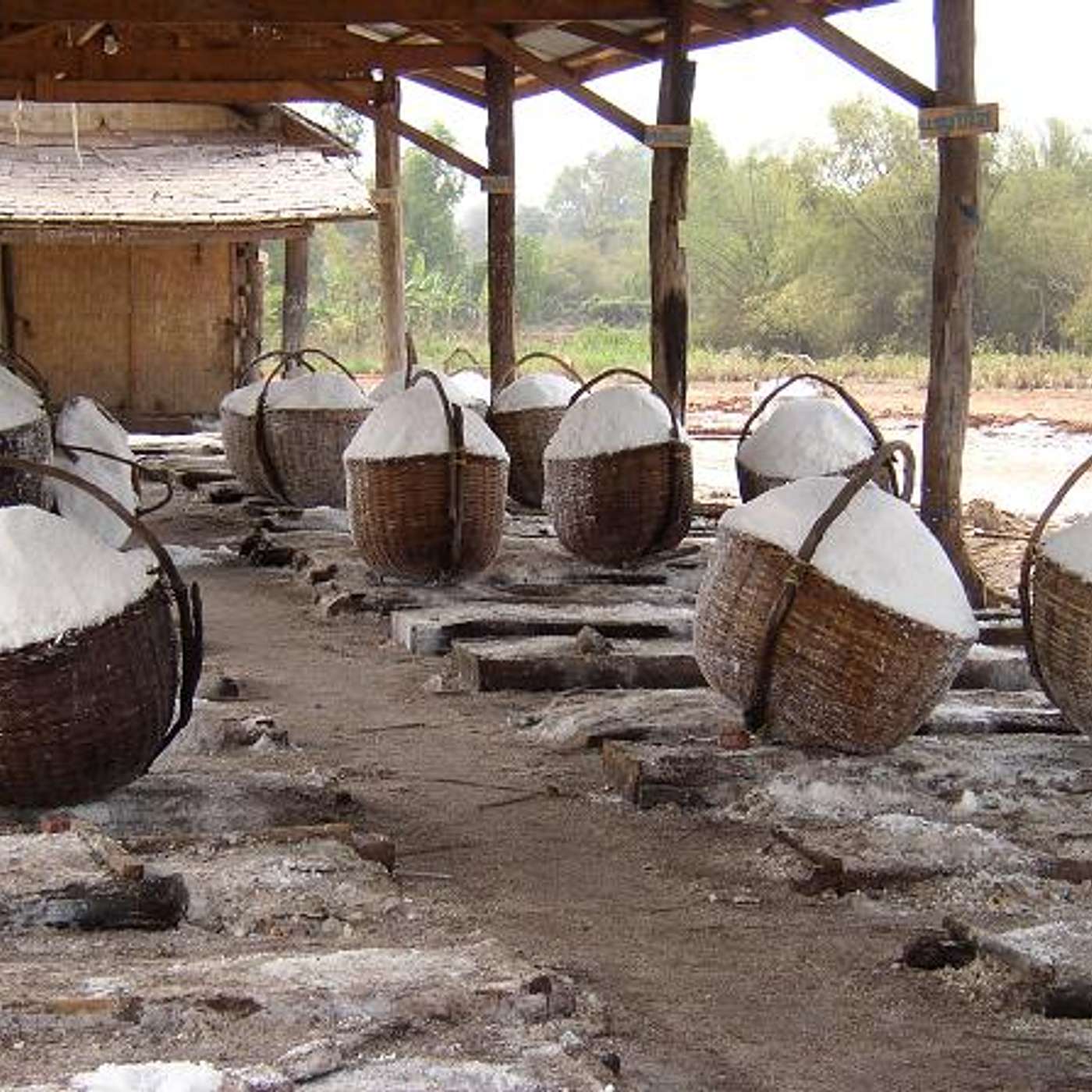 Santé, Science et Développement