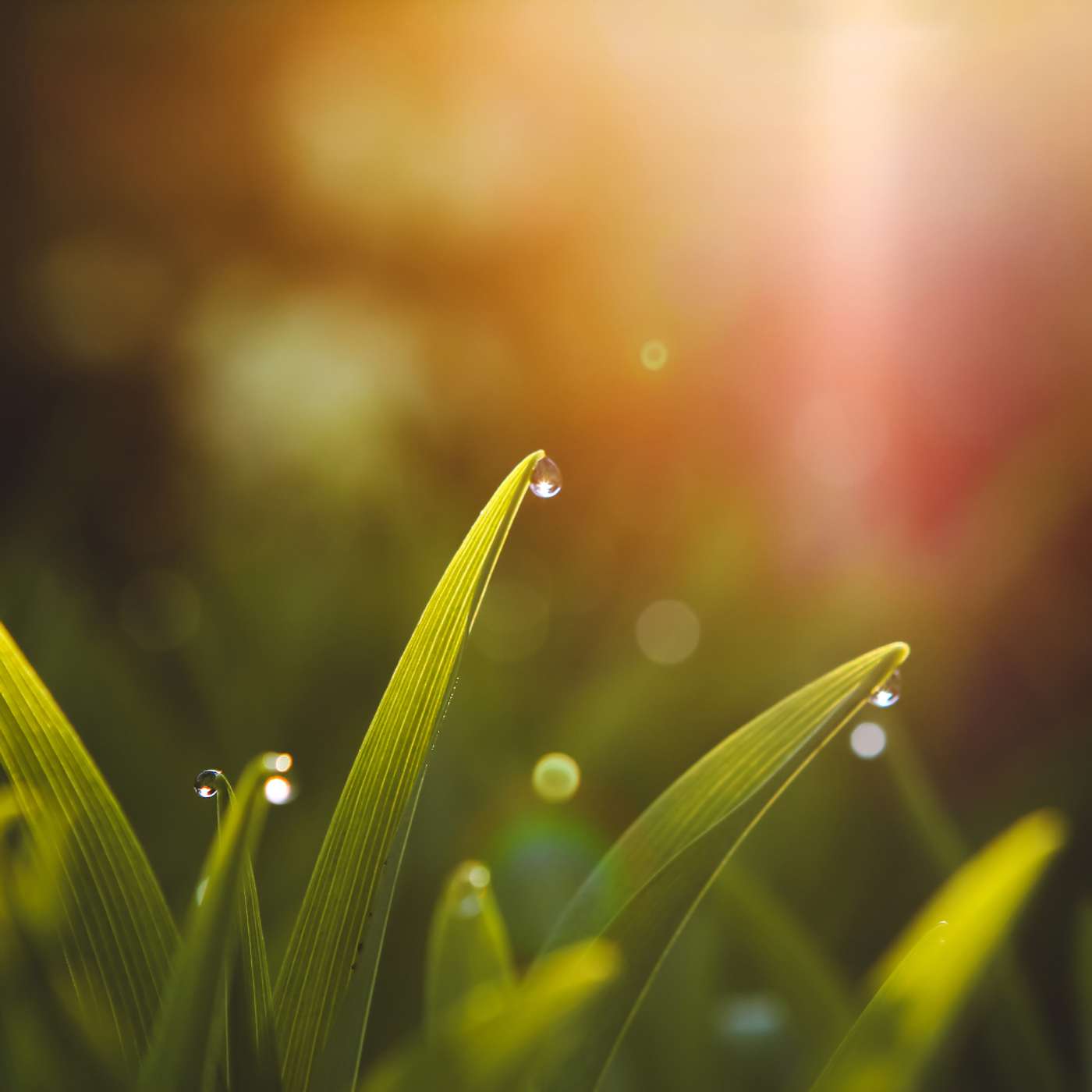 Morning Meditation: Start Your Day Radiating Positive Energy